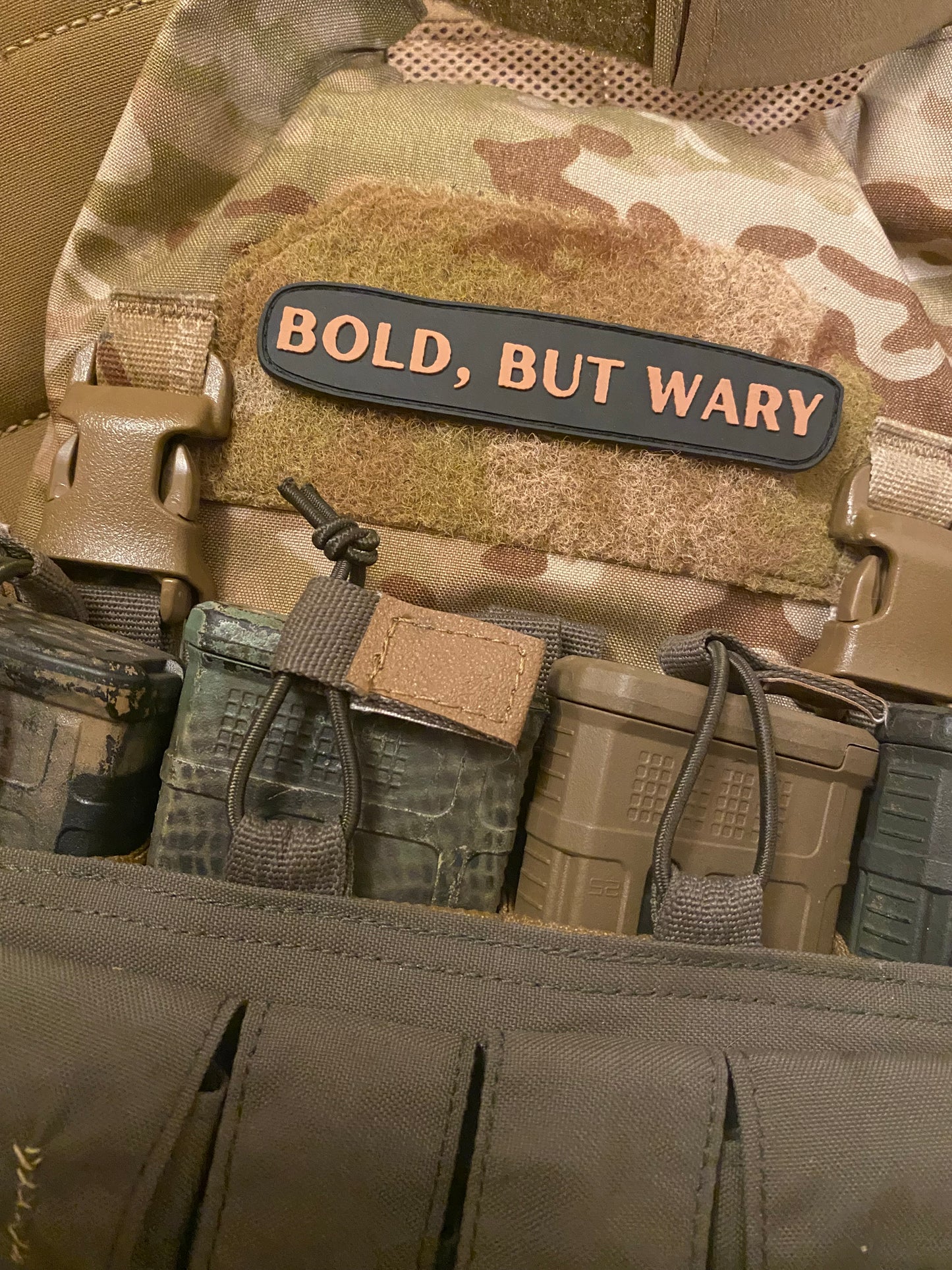 "Bold, But Wary" South Carolina PVC Morale Patch