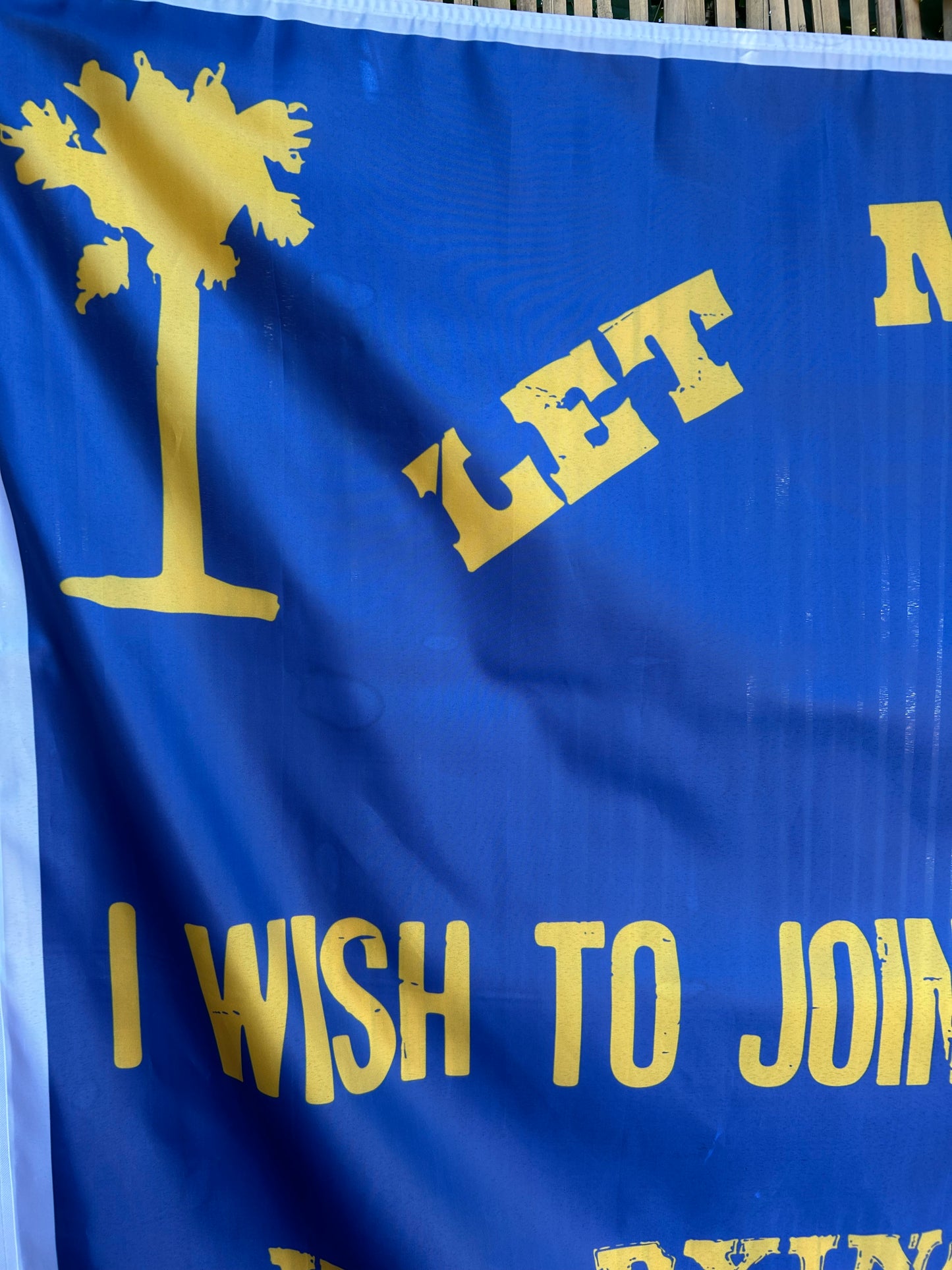 Greenville Ladies Aid Association Hospital Flag
