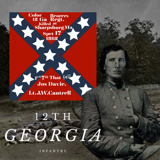 12th Georgia Infantry House Flag