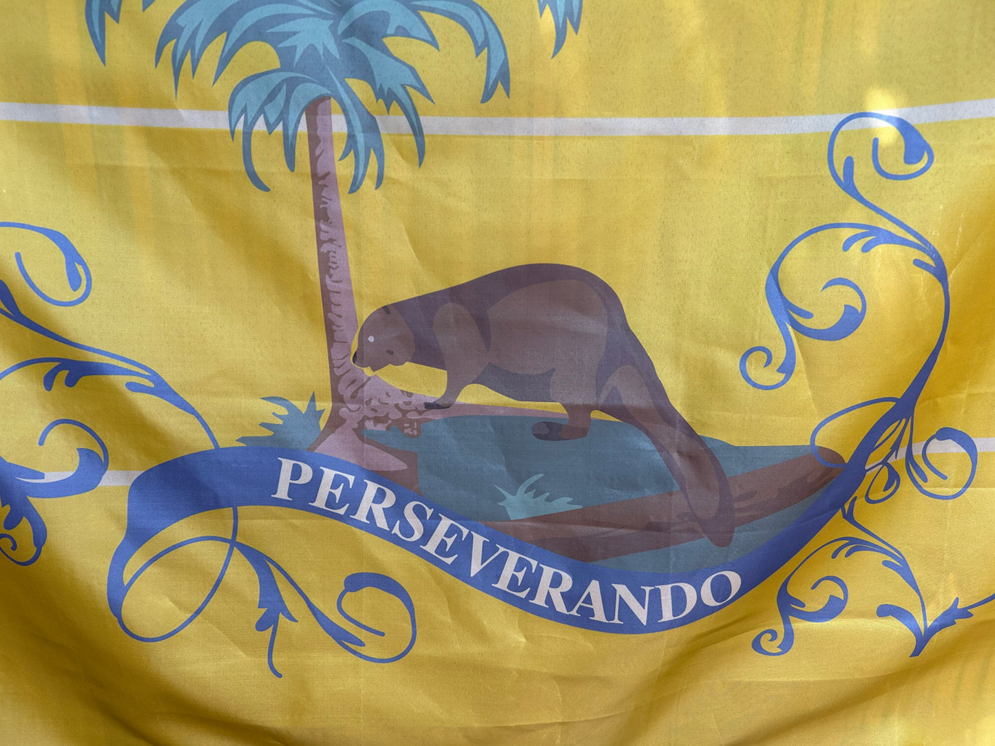 "3rd Virginia Detachment" Flag