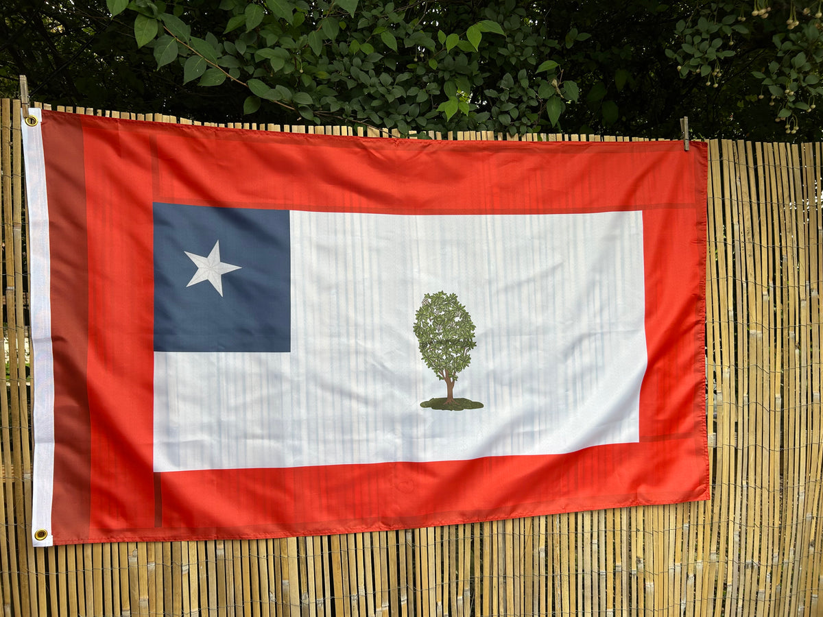 Republic of Mississippi  Flag - Booneville