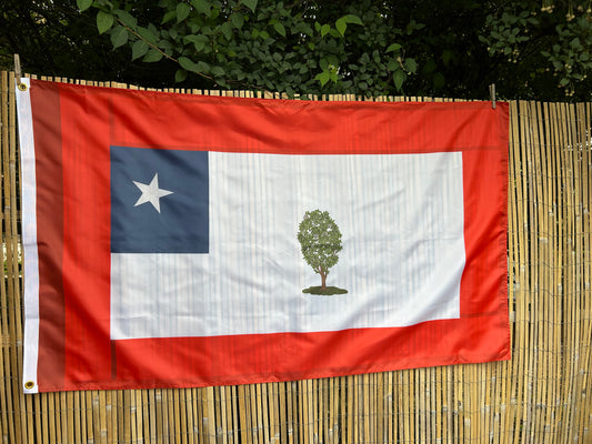 Republic of Mississippi  Flag - Booneville