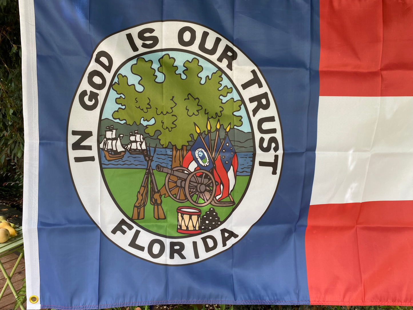 Republic of Florida House Flag