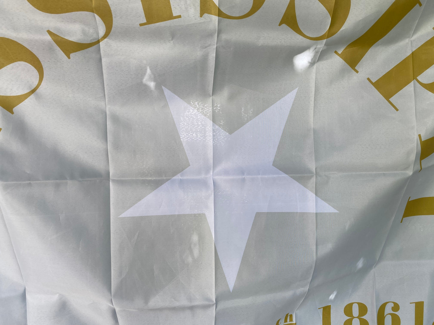 Pontotoc Minutemen, Company G - 2nd Mississippi Infantry Flag