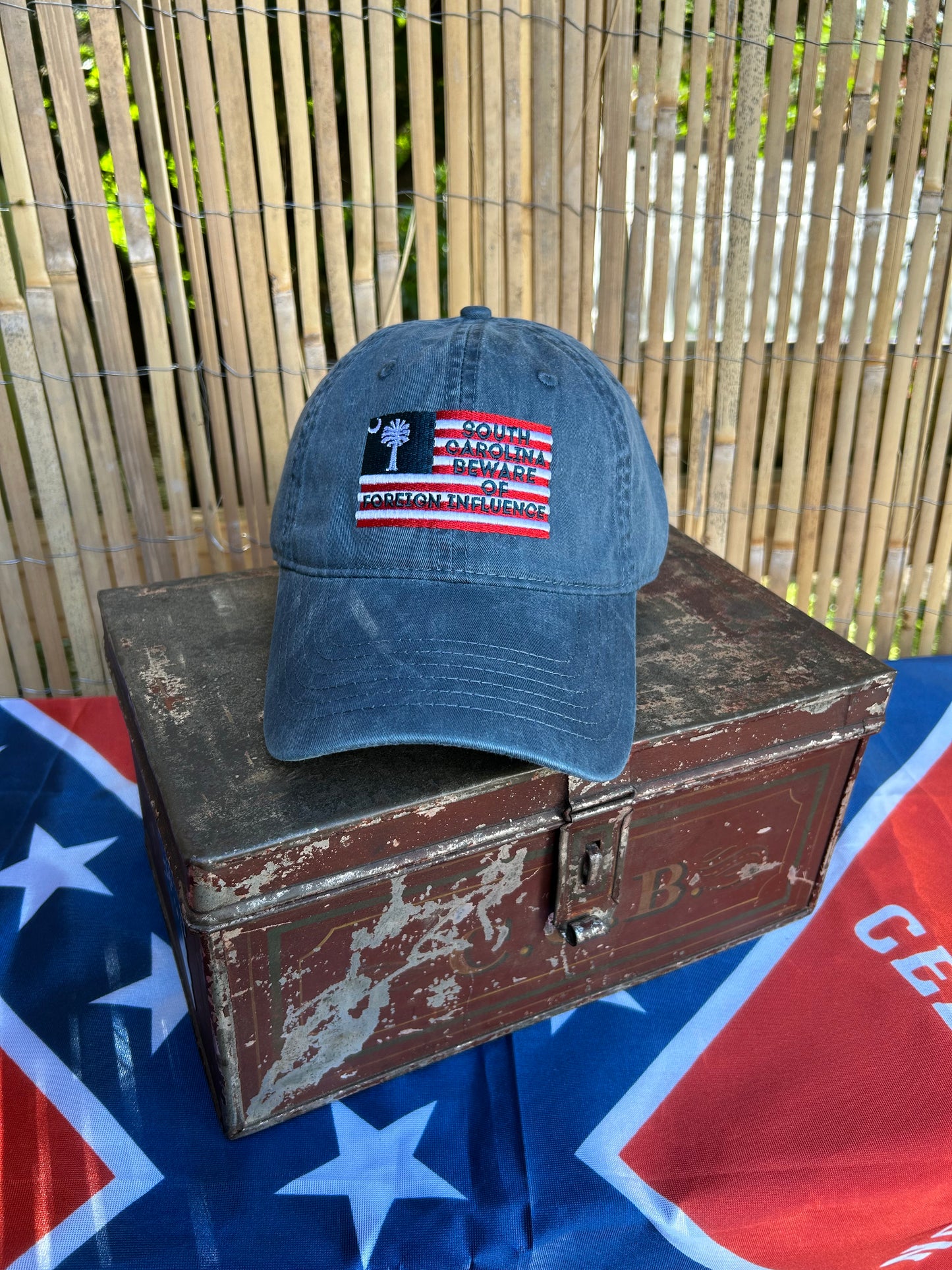 South Carolina Beware of Foreign Influence Cap