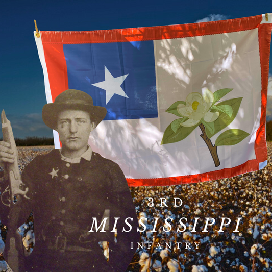 3rd Mississippi Infantry House Flag