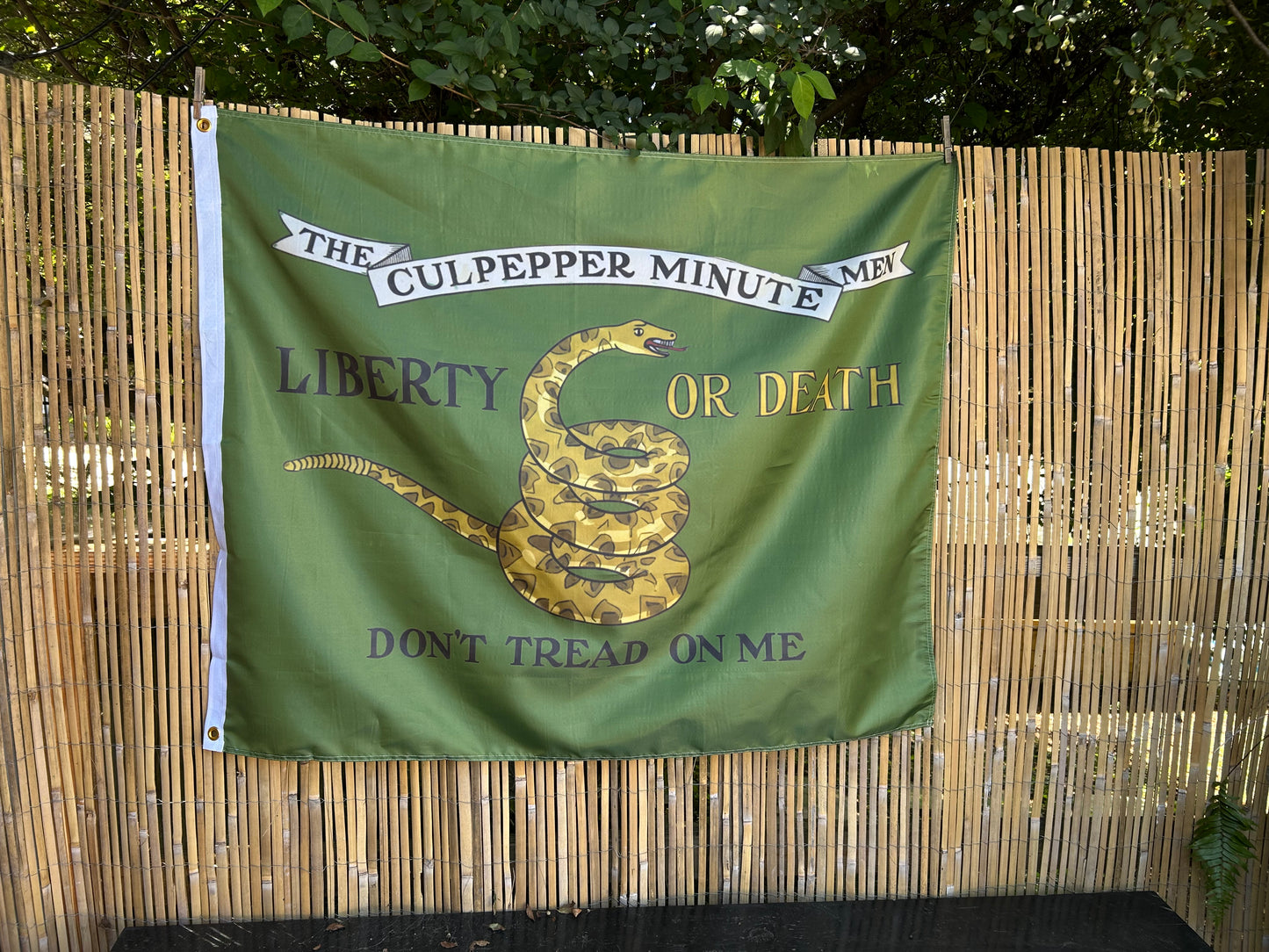 1st Virginia Regiment Flag - 1775