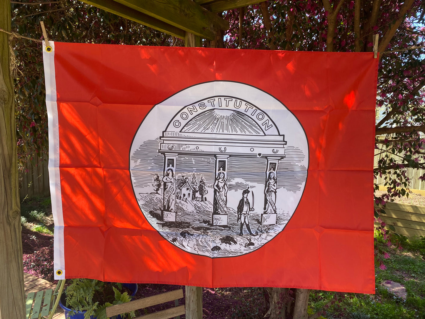 Georgia State Seal House Flag