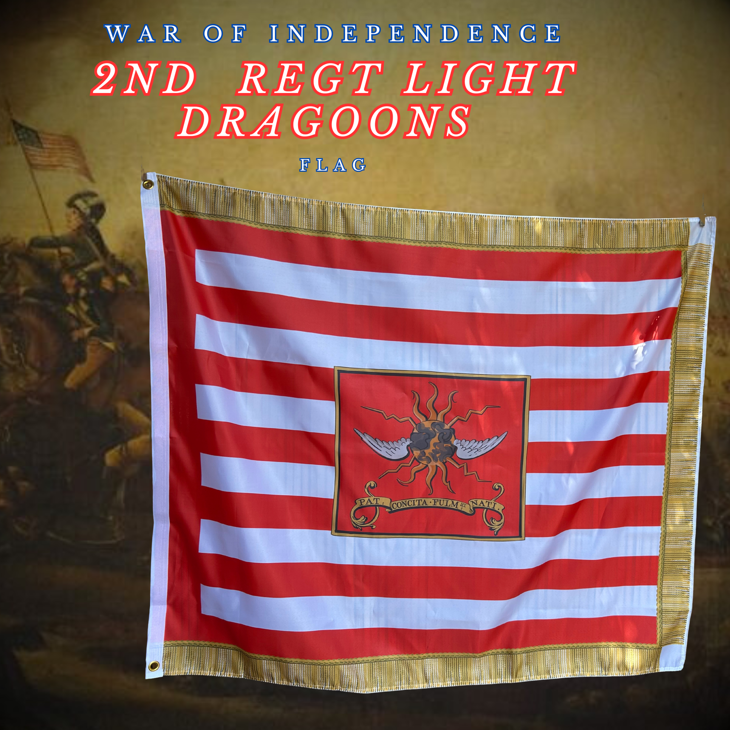 2nd Continental Light Dragoons 1779 Flag