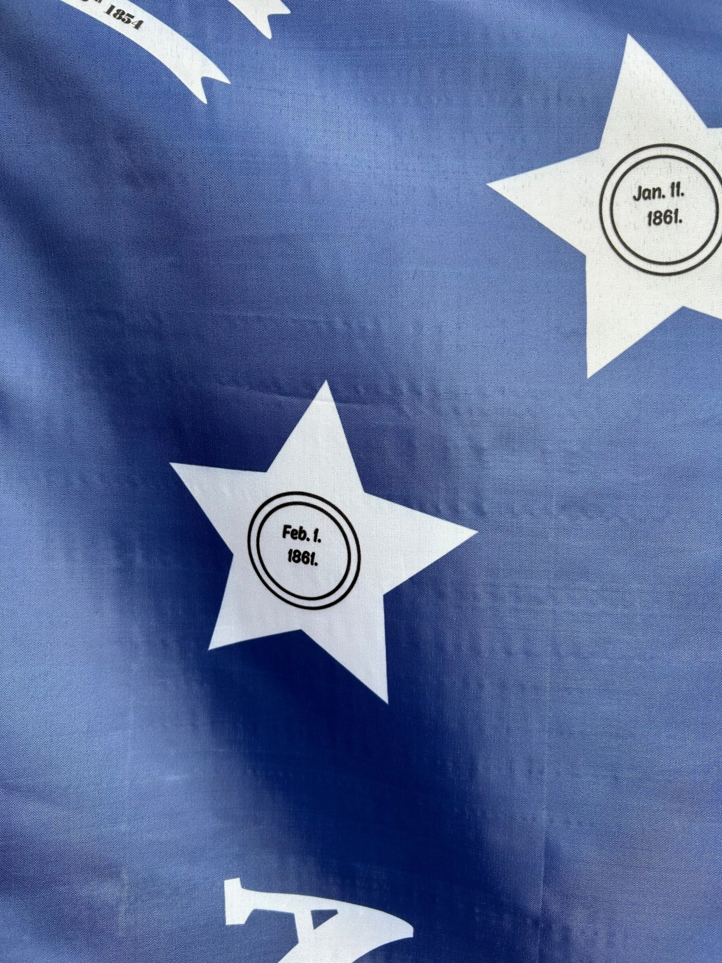 "Any Fate But Submission" 3rd Florida Infantry Flag