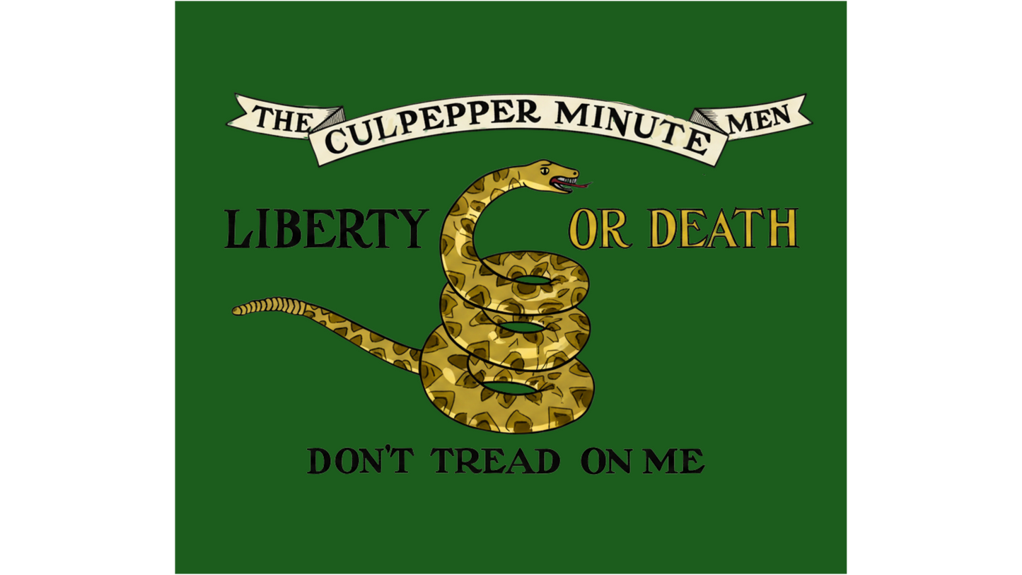 1st Virginia Regiment Flag - 1775