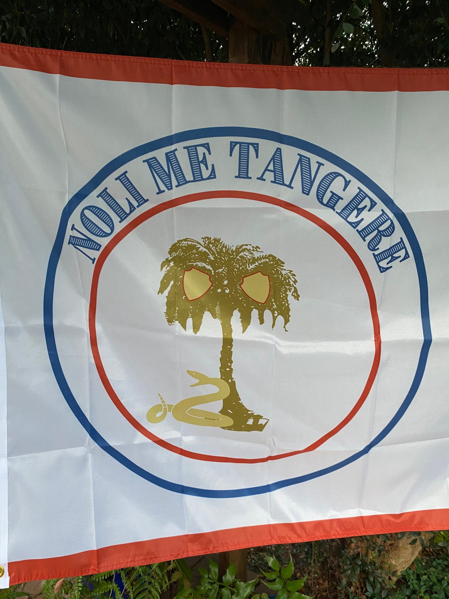 "Noli me tangere" Touch me not - Missouri Secession House Flag