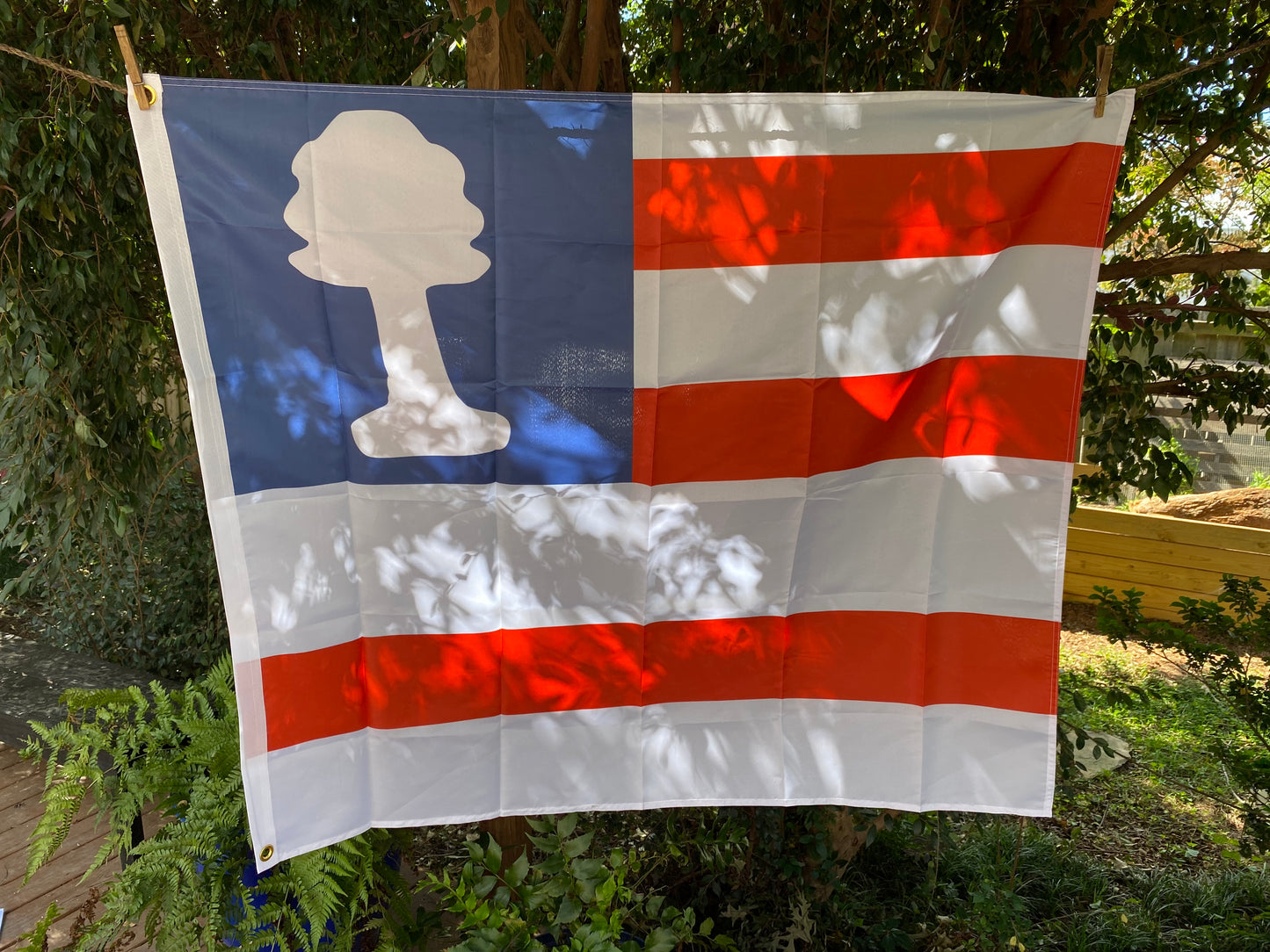 Hilton Head, Island House Flag