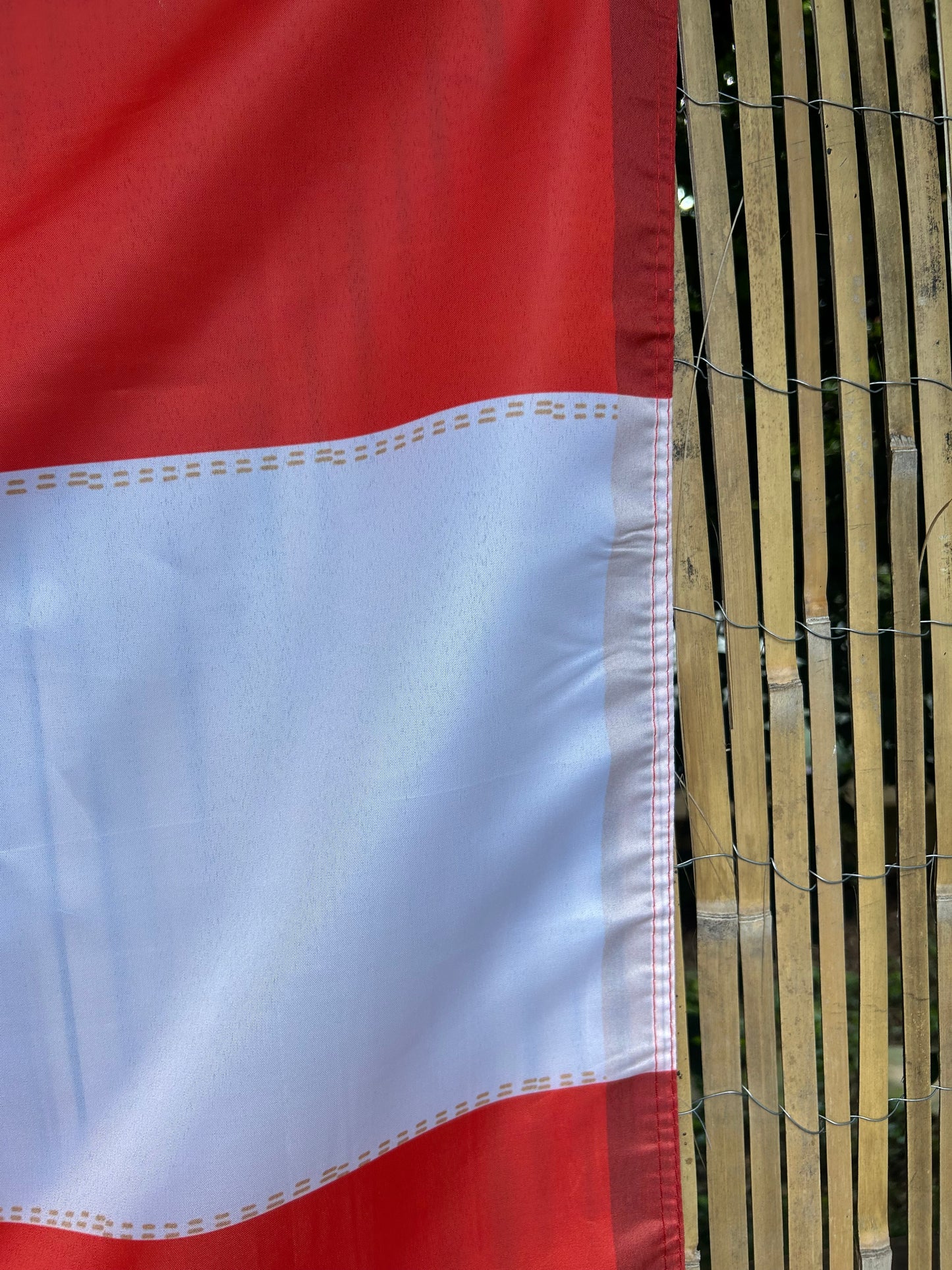 Cairo, Missouri Flag