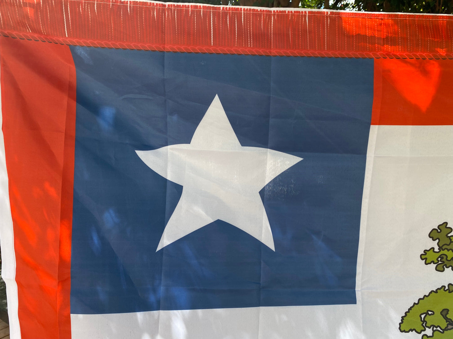 1st Mississippi Cavalry House Flag