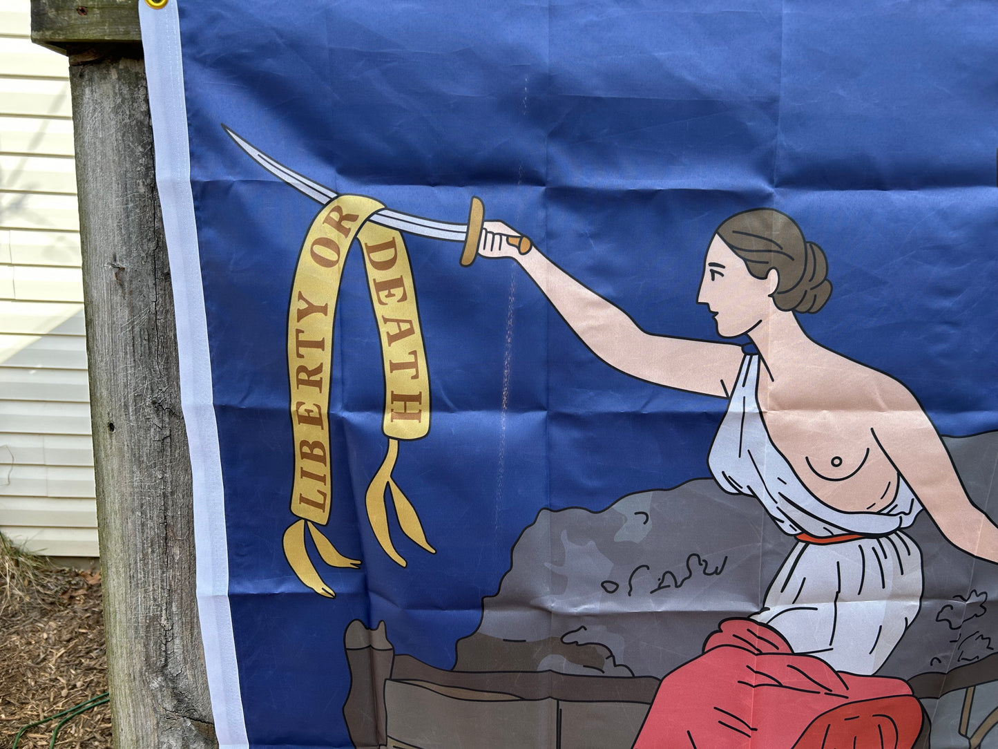 San Jacinto Texas Revoultion Flag