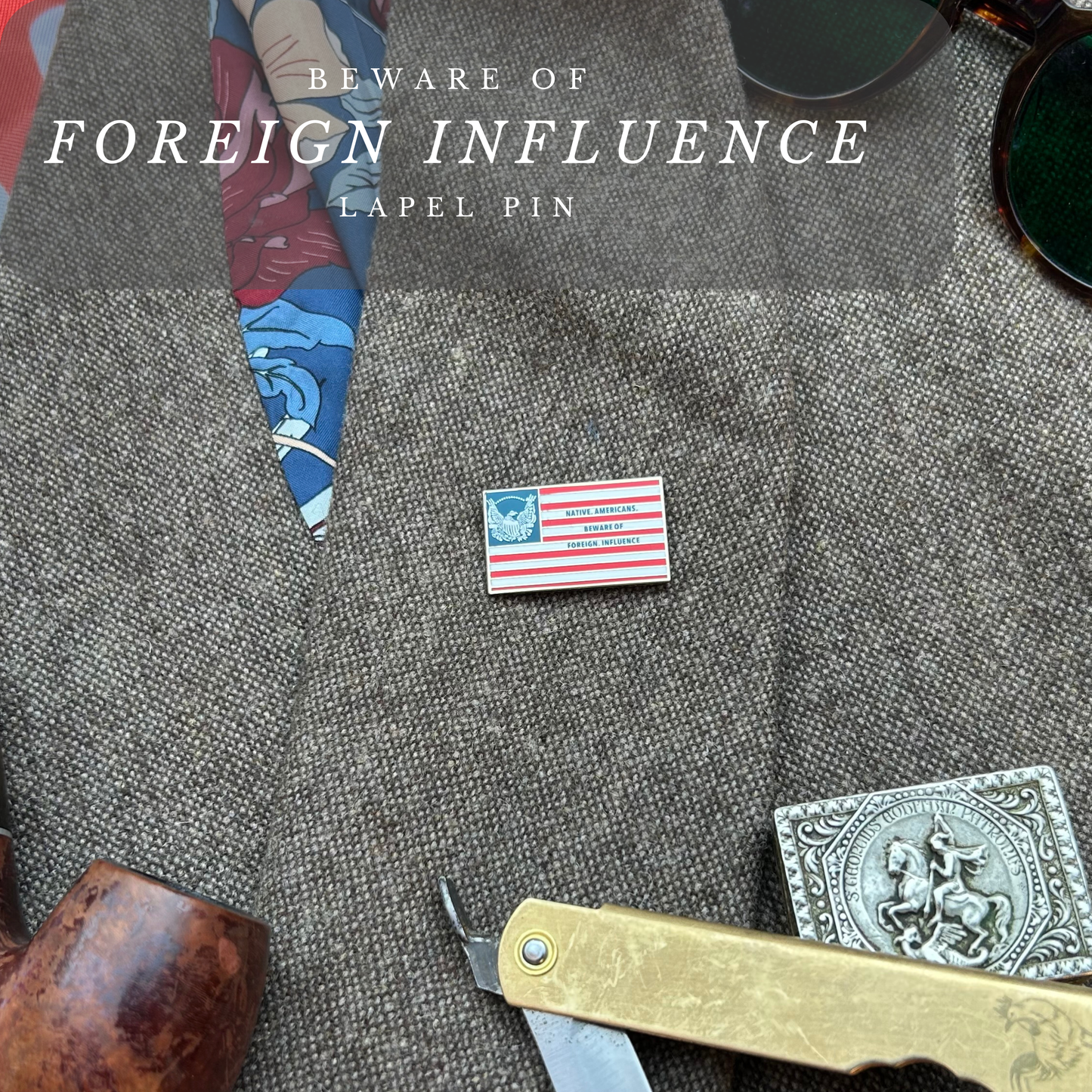 "Beware of Foreign Influence" Lapel Pin