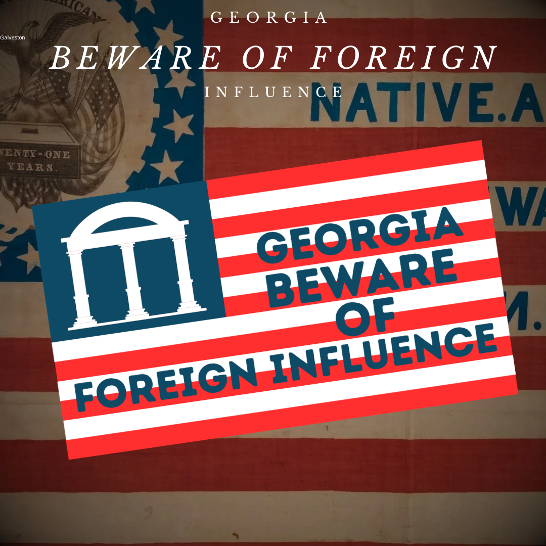"Georgia Beware of Foreign Influence" Flag