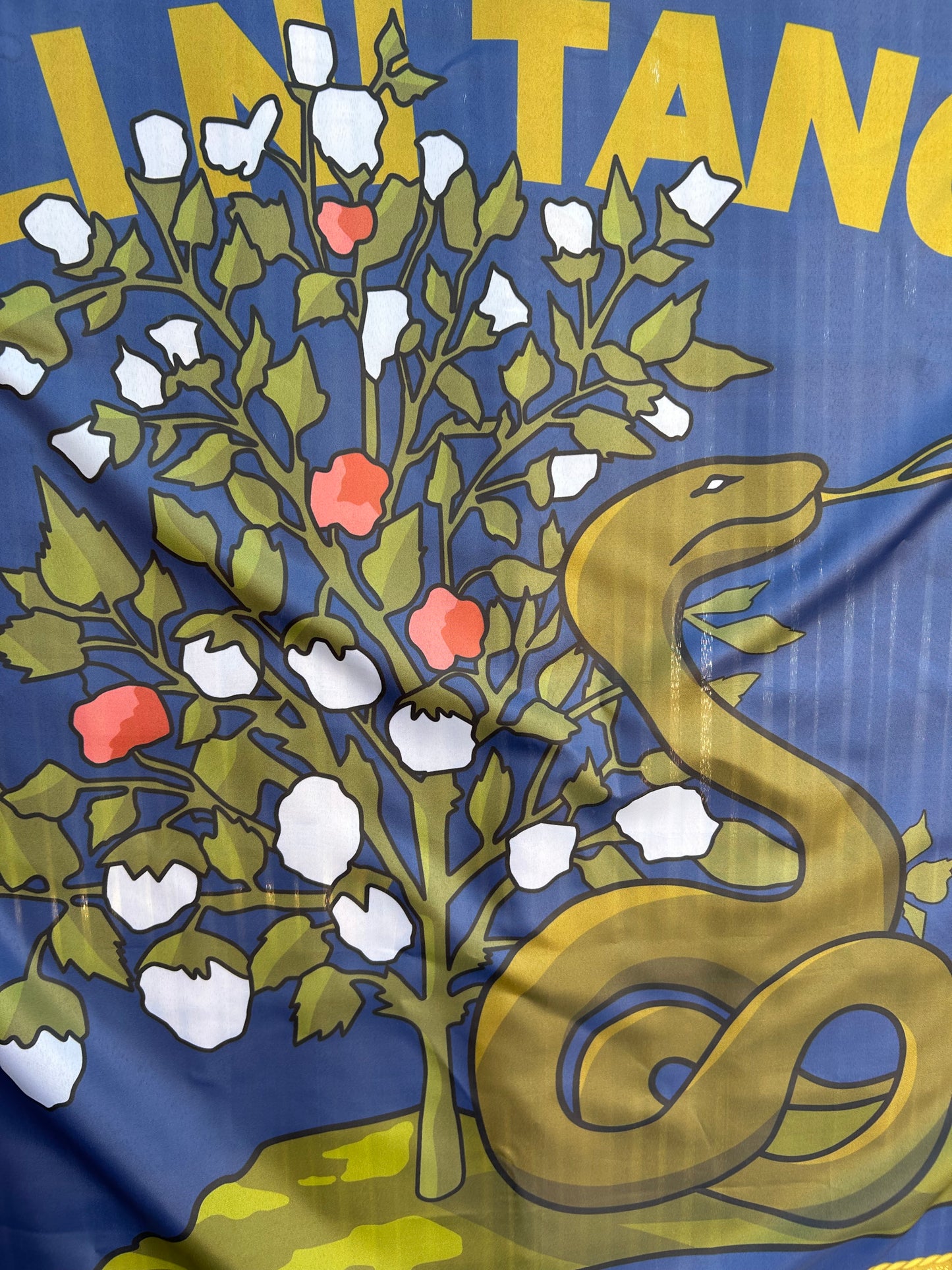1st Alabama Infantry  Co. I-K, "Wilcox True Blues" Flag