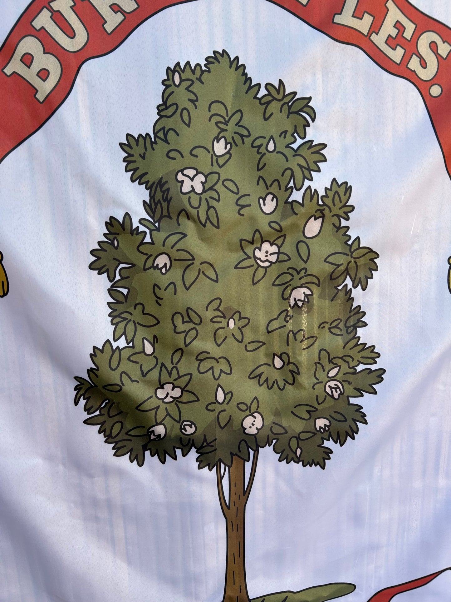 18th Mississippi House Flag