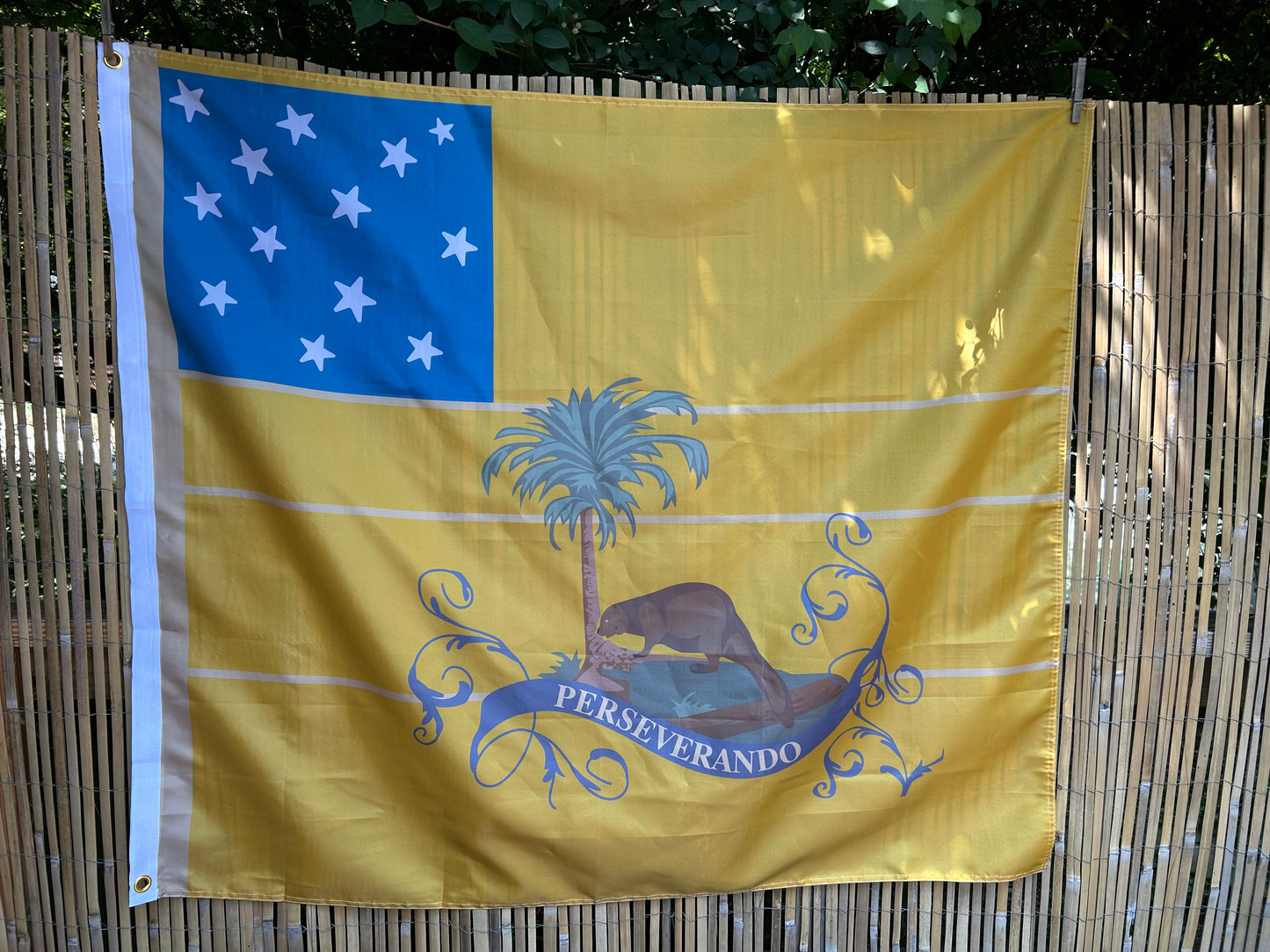 "3rd Virginia Detachment" Flag