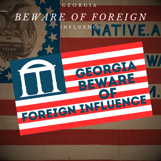 "Georgia Beware of Foreign Influence" Sticker/Magnet