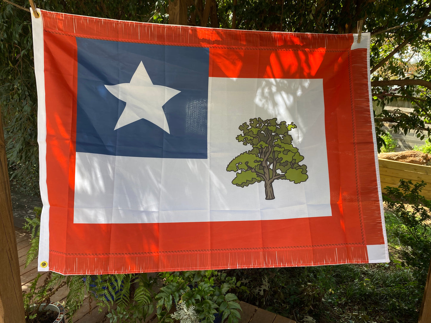 1st Mississippi Cavalry House Flag