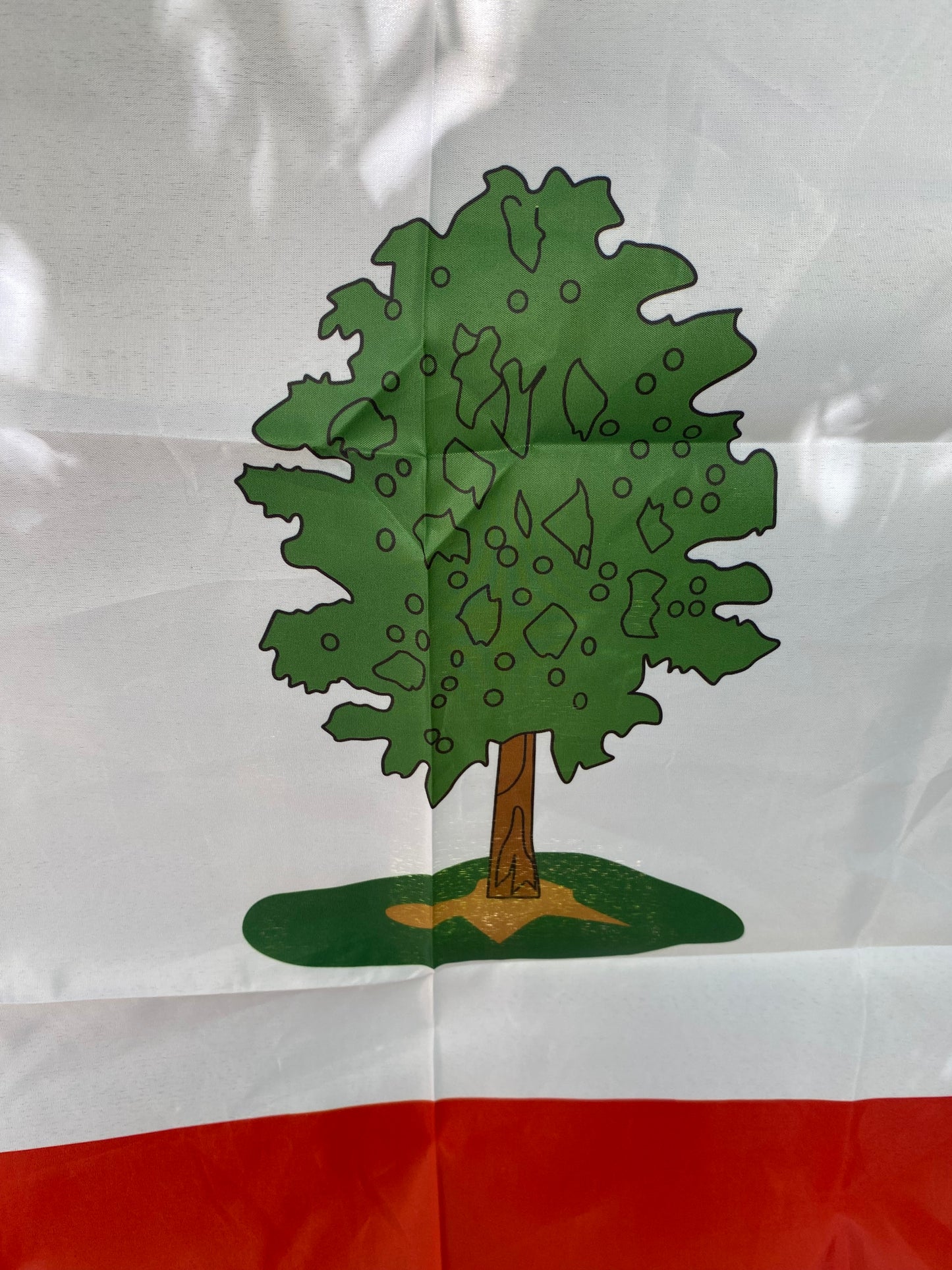 Republic of Mississippi House Flag - Booneville Example