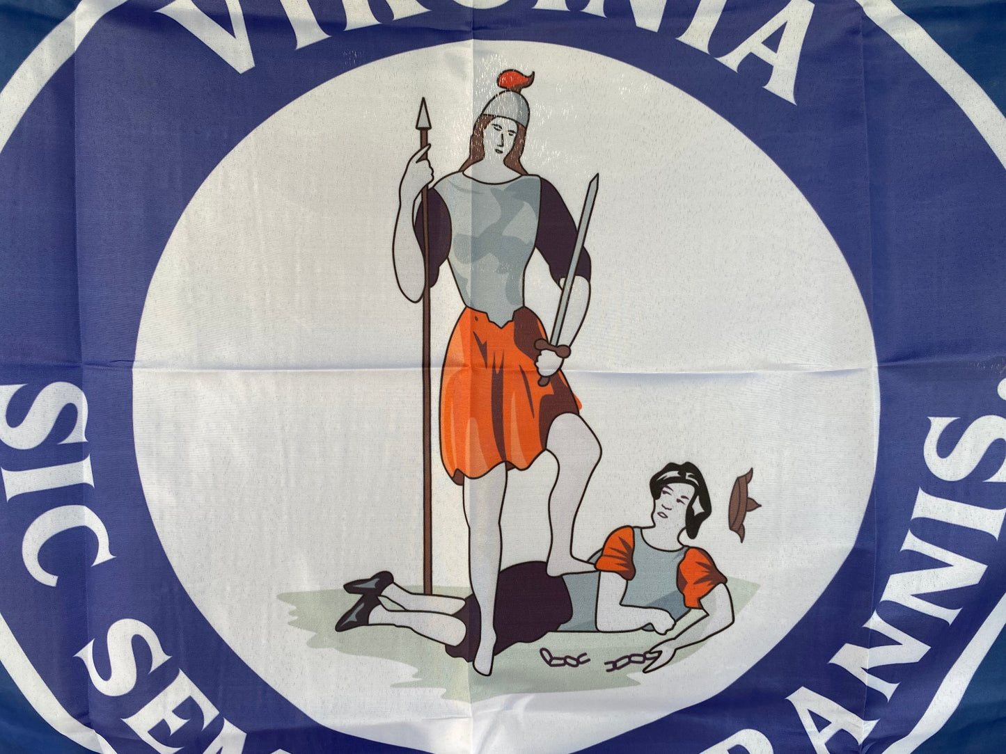 3rd Virginia Cavalry House Flag