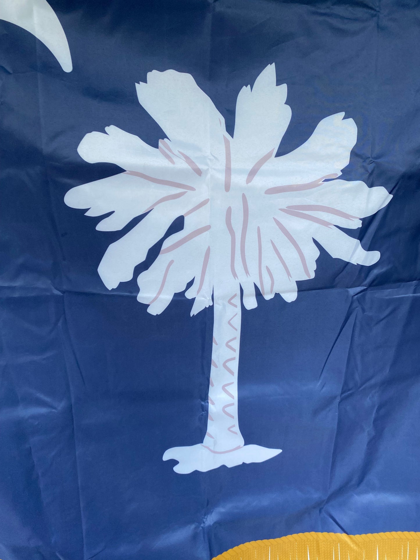 South Carolina Zouave Volunteers Company H (2nd), Infantry Battalion Hampton's Legion Flag