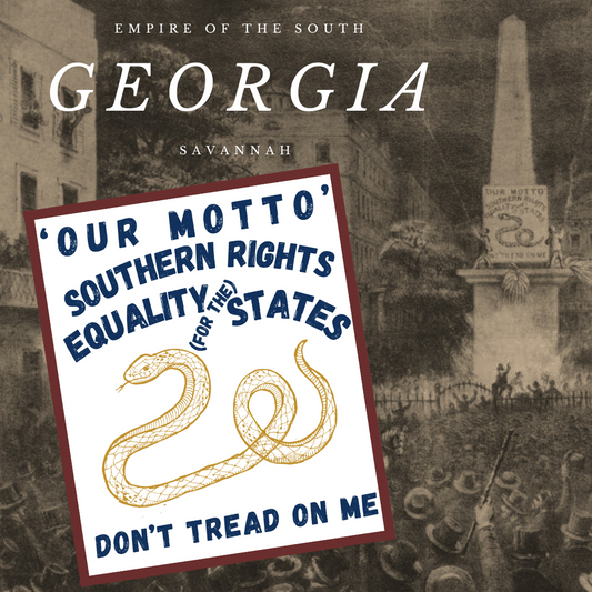 "Southern Rights" Savannah, Georgia Secession Banner House Flag