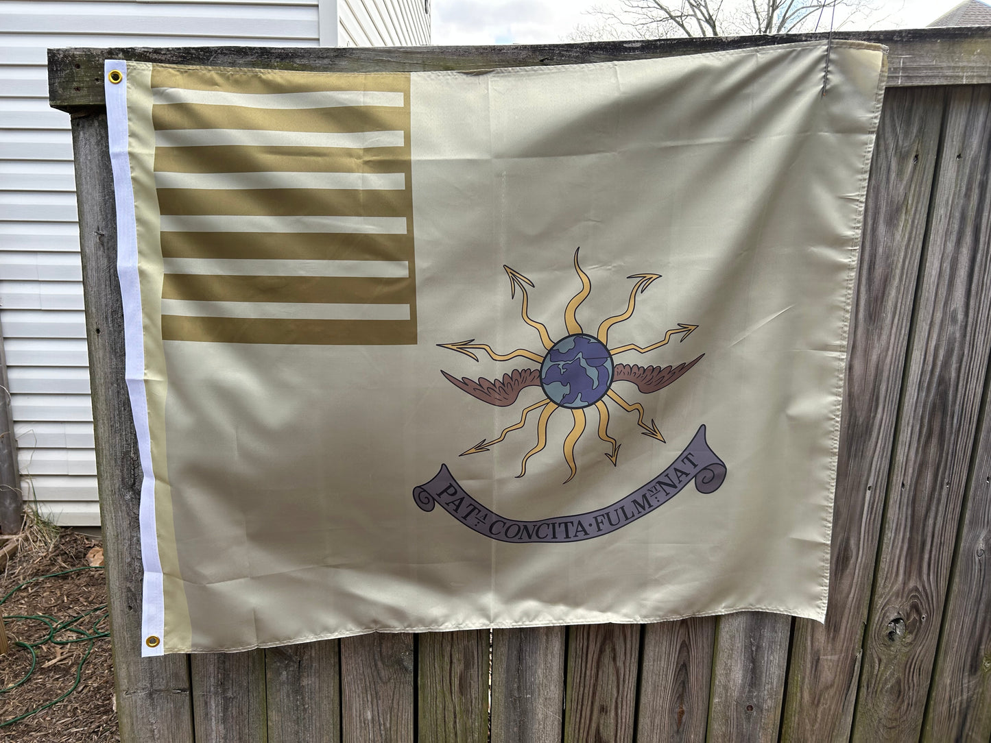 2nd Continental Light Dragoons Guidon Flag