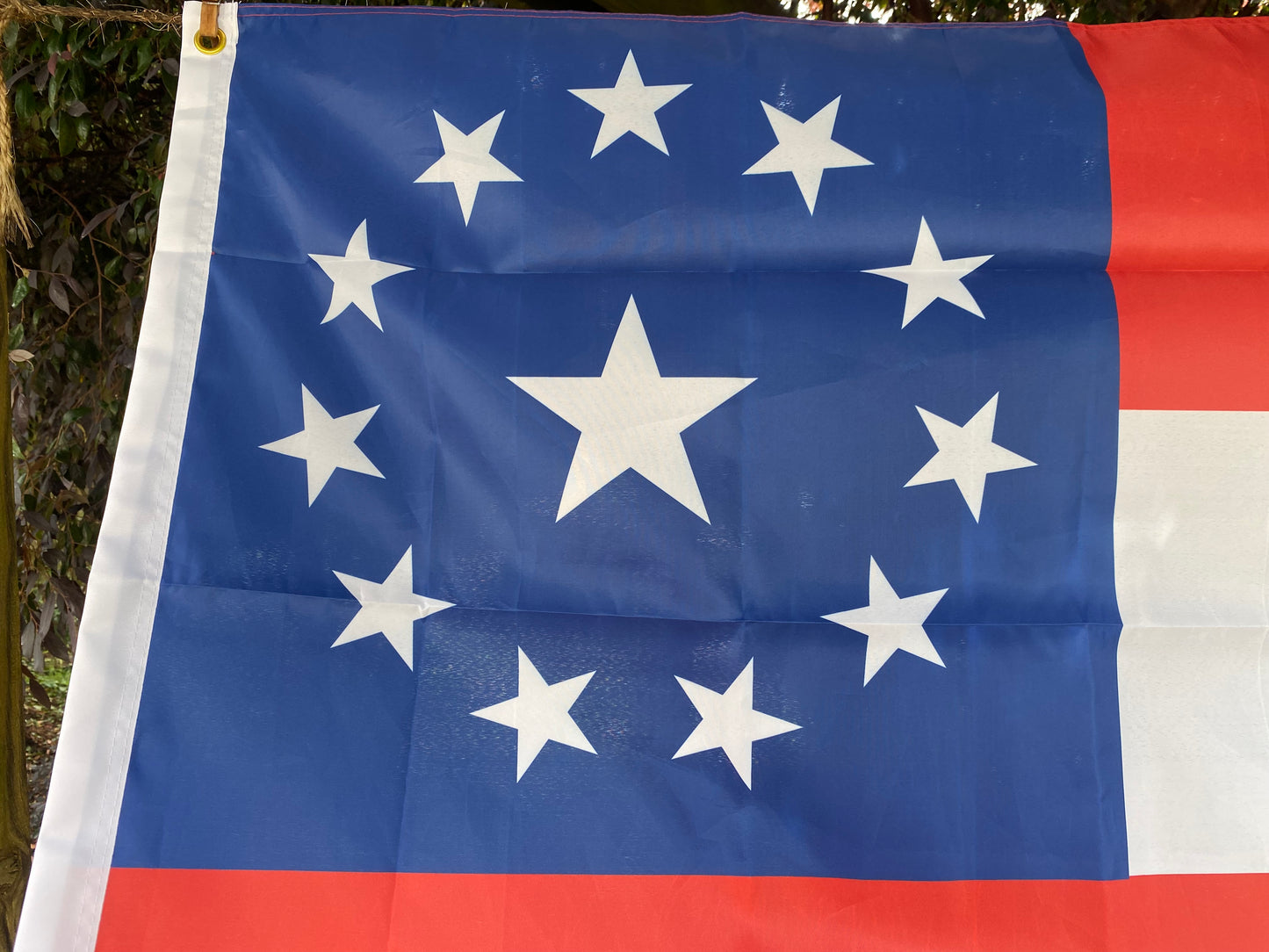 Vicksburg Siege First National House Flag