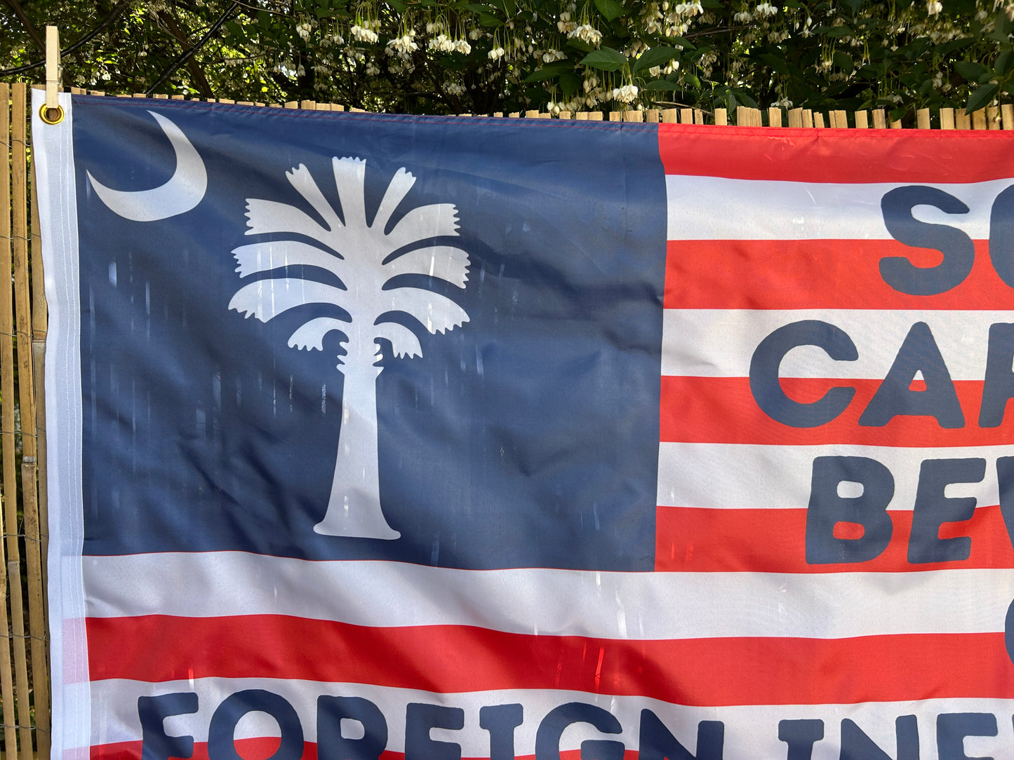 "South Carolina Beware of Foreign Influence" Flag