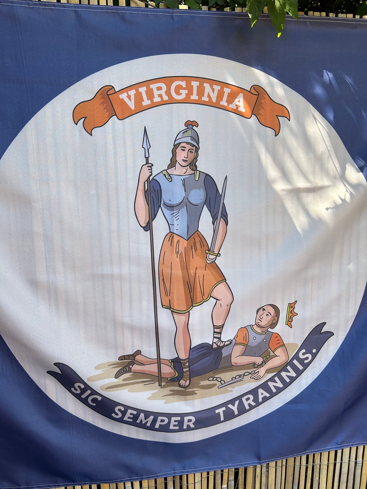 9th Virginia Infantry  Flag