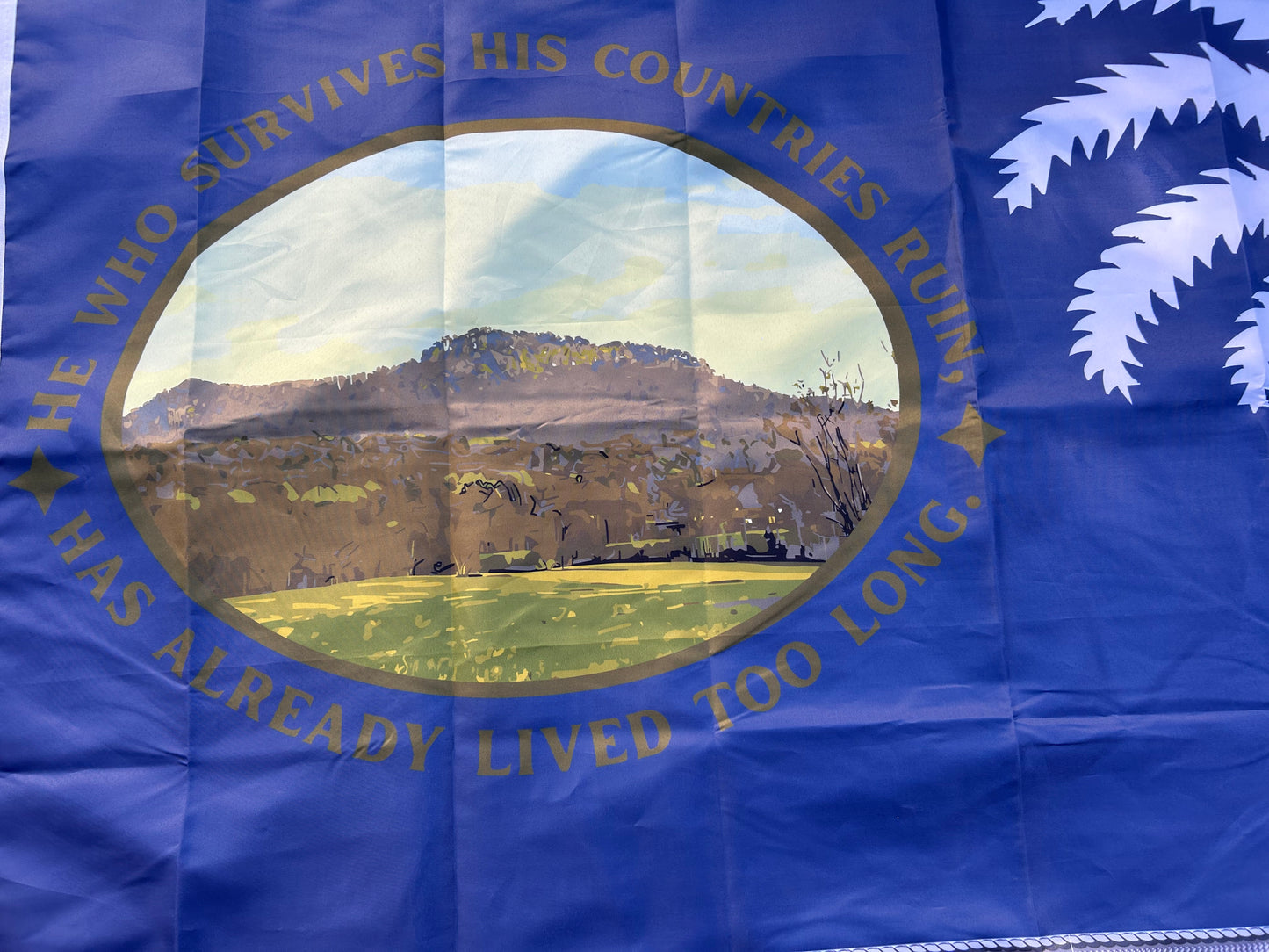 "Jasper Light Infantry" - 5th South Carolina Flag