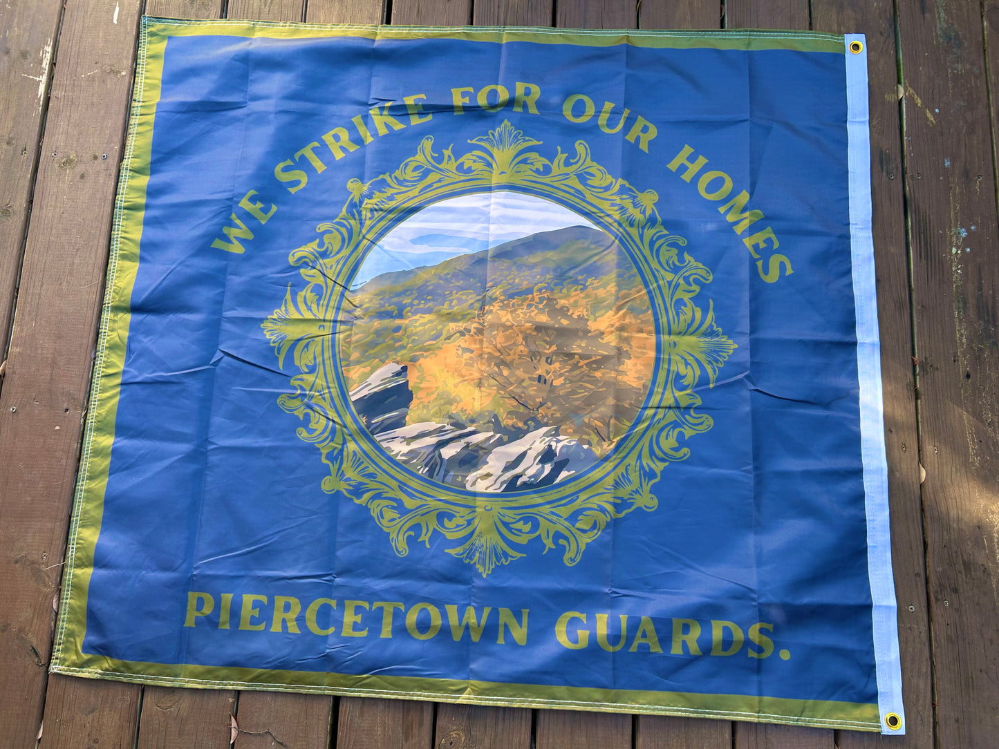 "We strike for our homes" - Company D  - 4th South Carolina Flag