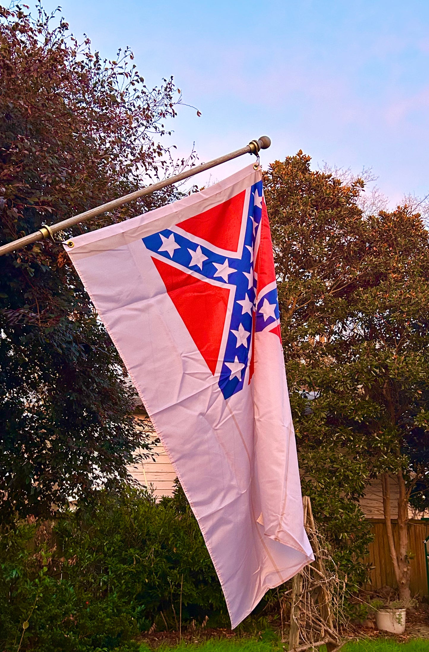 Battery Bee - Charleston 2nd National Flag