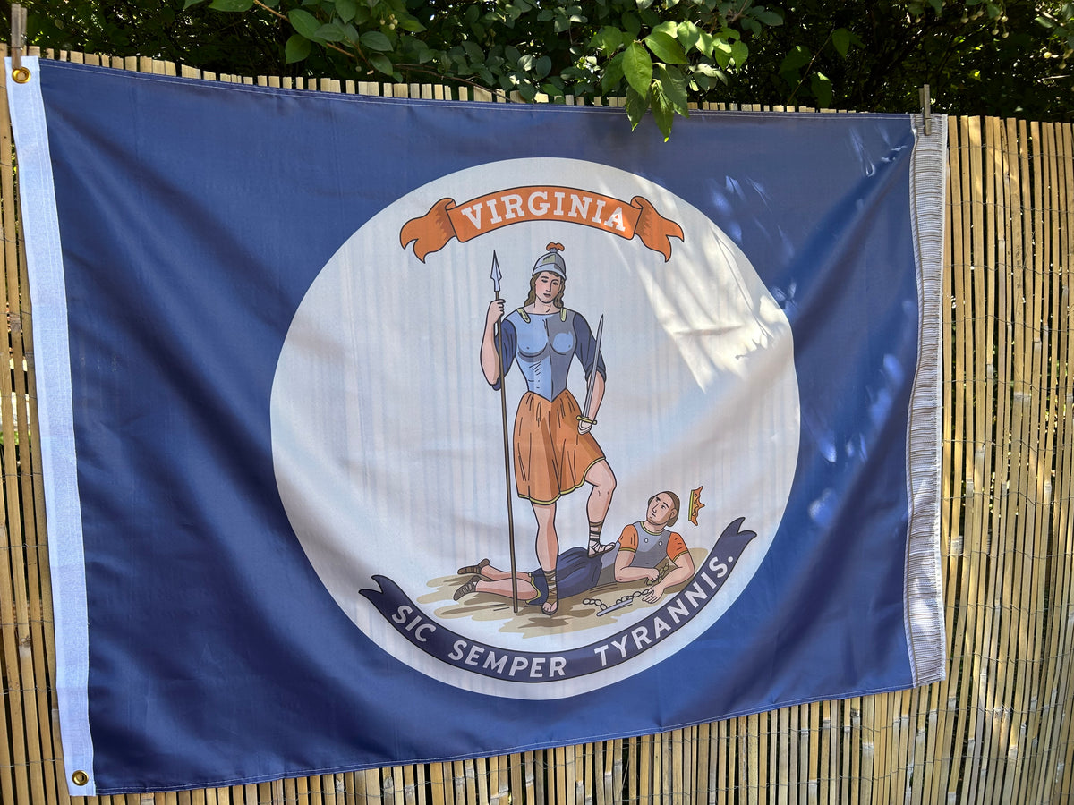 9th Virginia Infantry  Flag