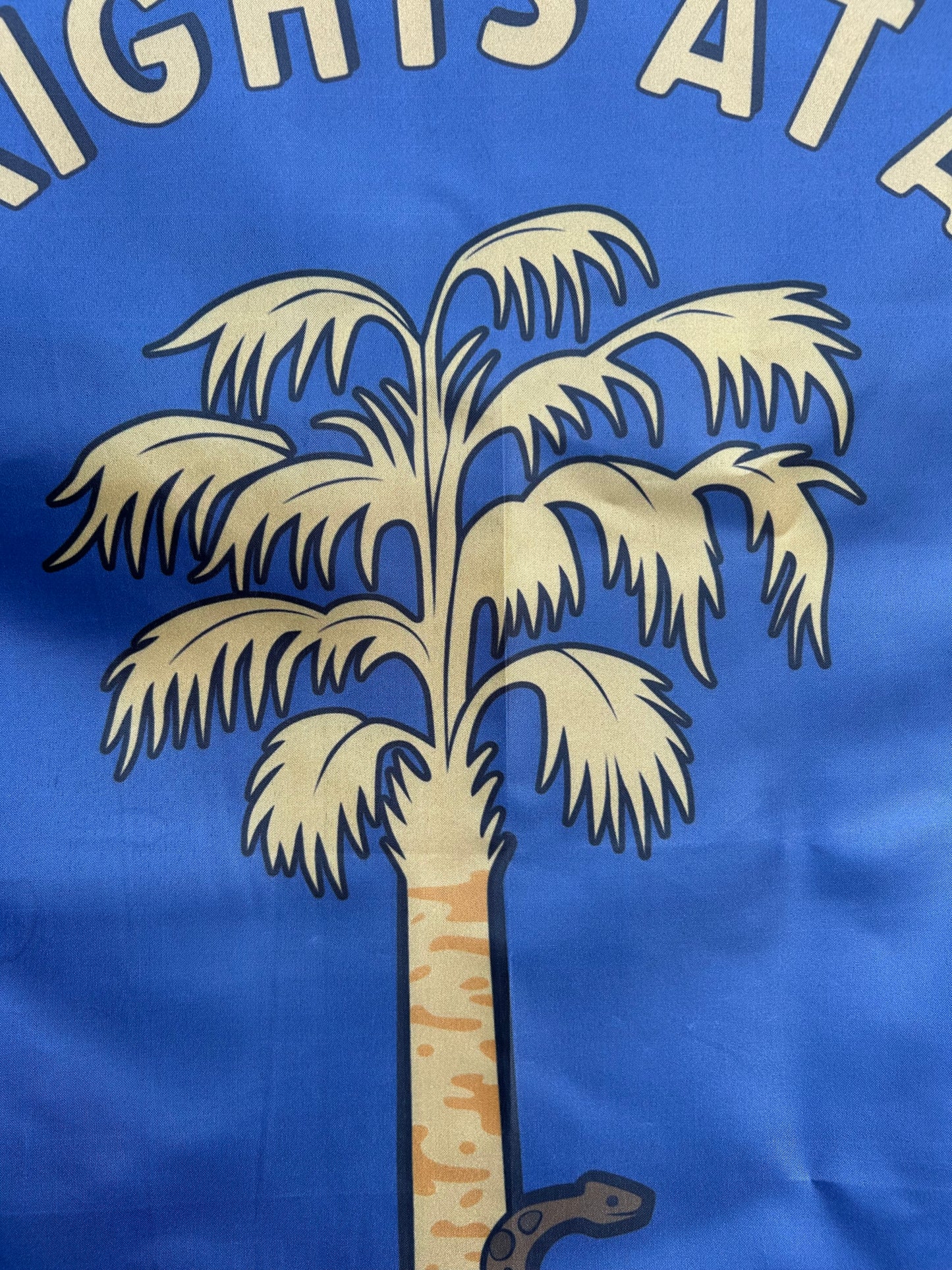 "Southern Rights at All Hazards" 7th South Carolina - Ruffin Guard Flag