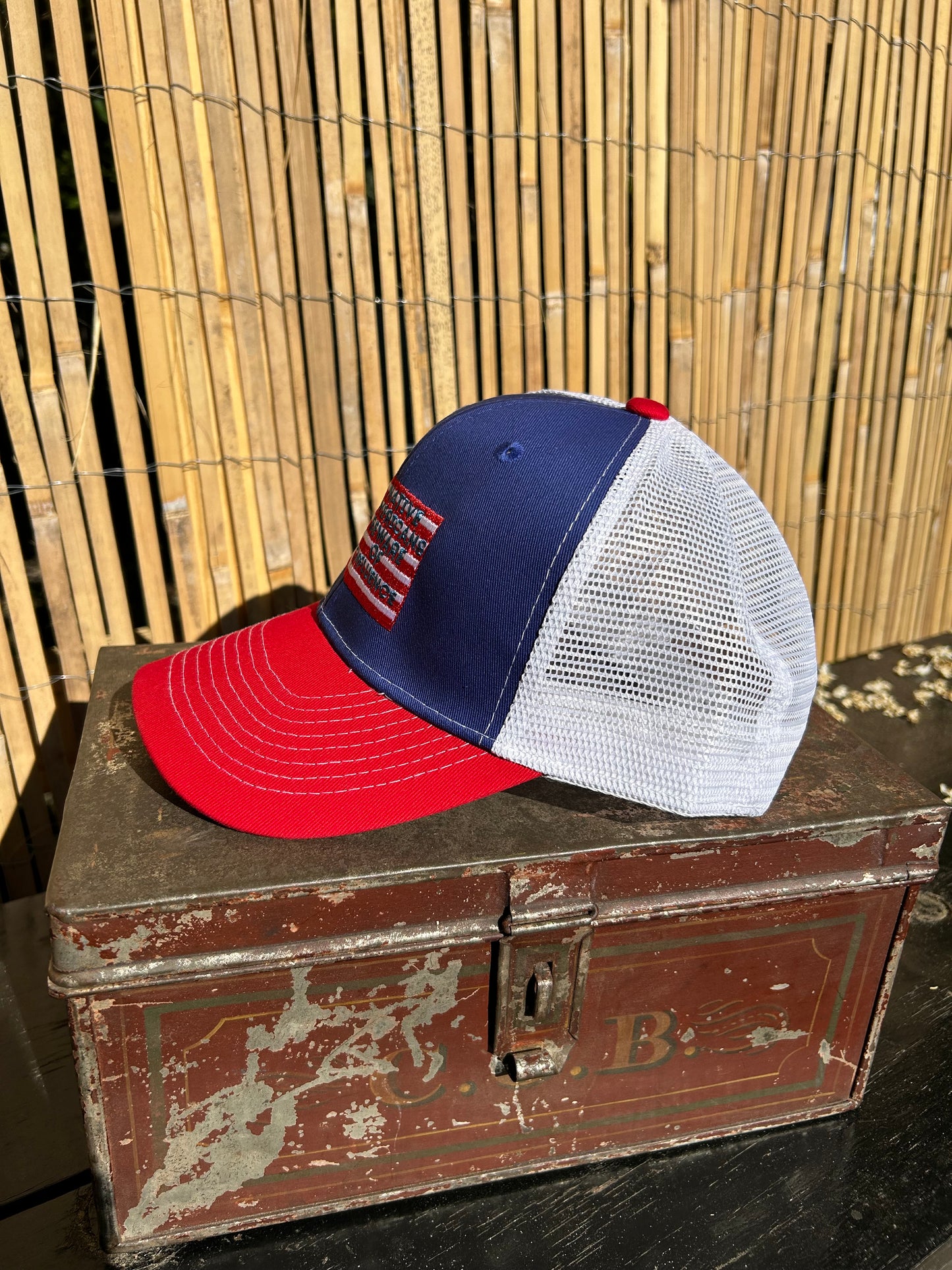 "Beware of Foreign Influence" Red, White, and Blue Trucker Cap