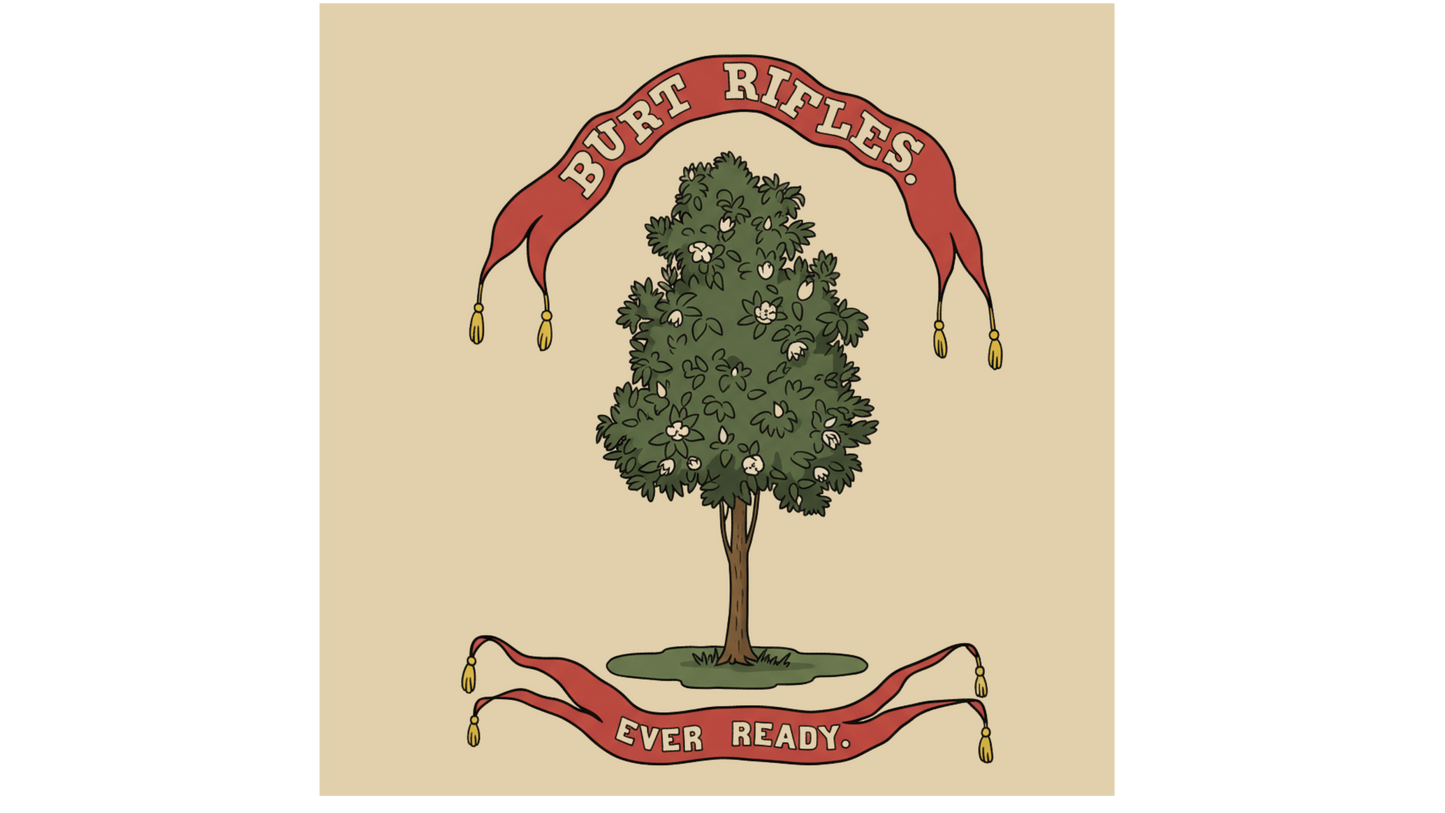 18th Mississippi House Flag