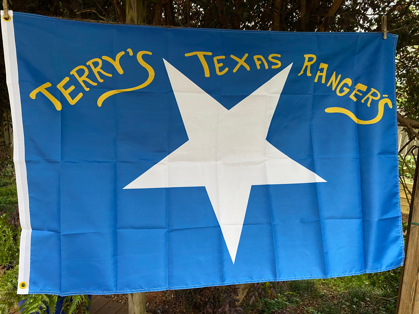 Terry's Texas Rangers - 8th Texas Cavalry -  Flag House Flag
