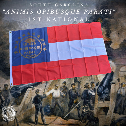 "ANIMIS OPIBUSQUE PARATI" South Carolina First National House Flag