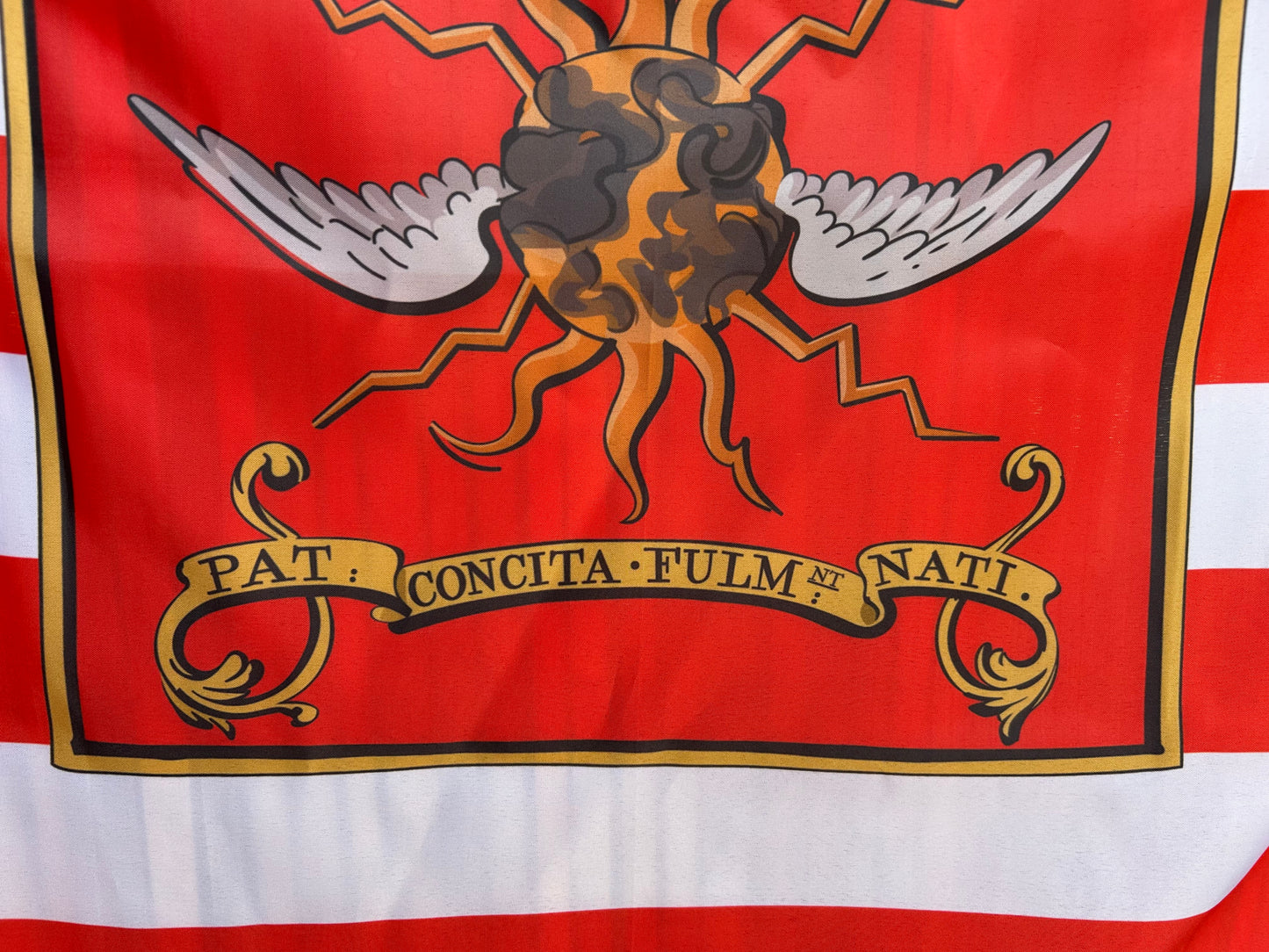 2nd Continental Light Dragoons 1779 Flag