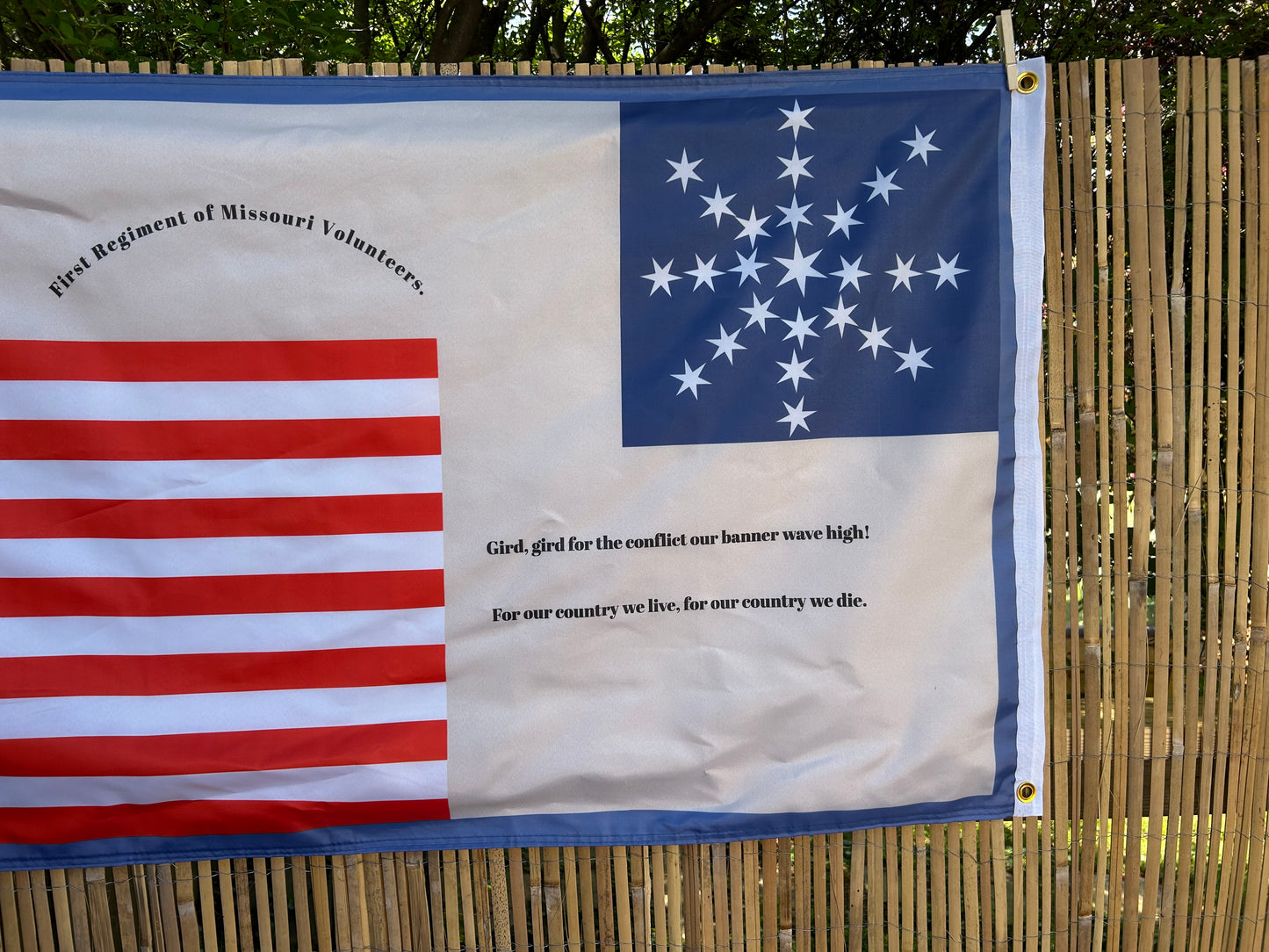 "Gird, gird for the conflict our banner wave high!" 1st Missouri Volunteers Seminole War Flag
