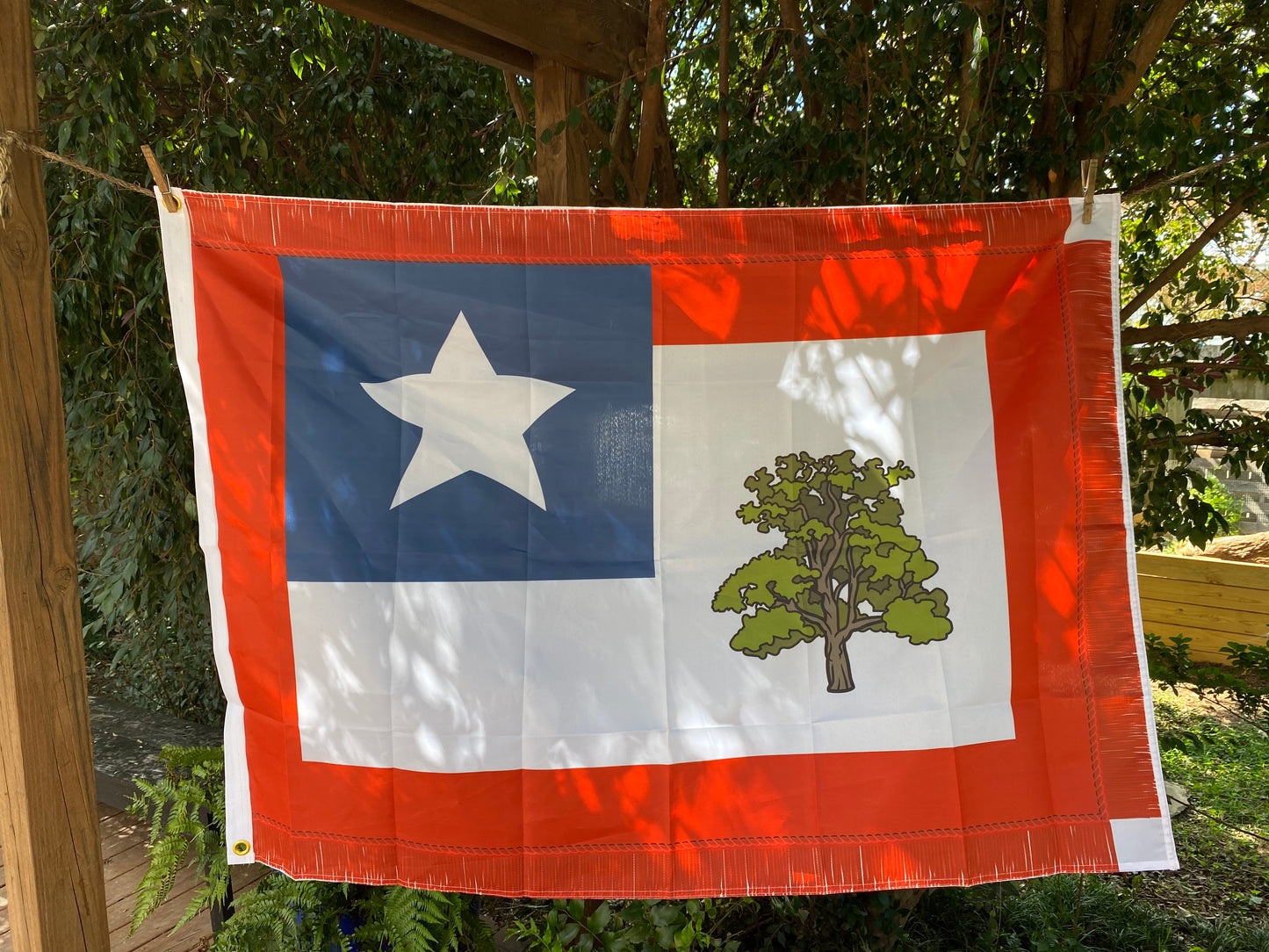 1st Mississippi Cavalry House Flag