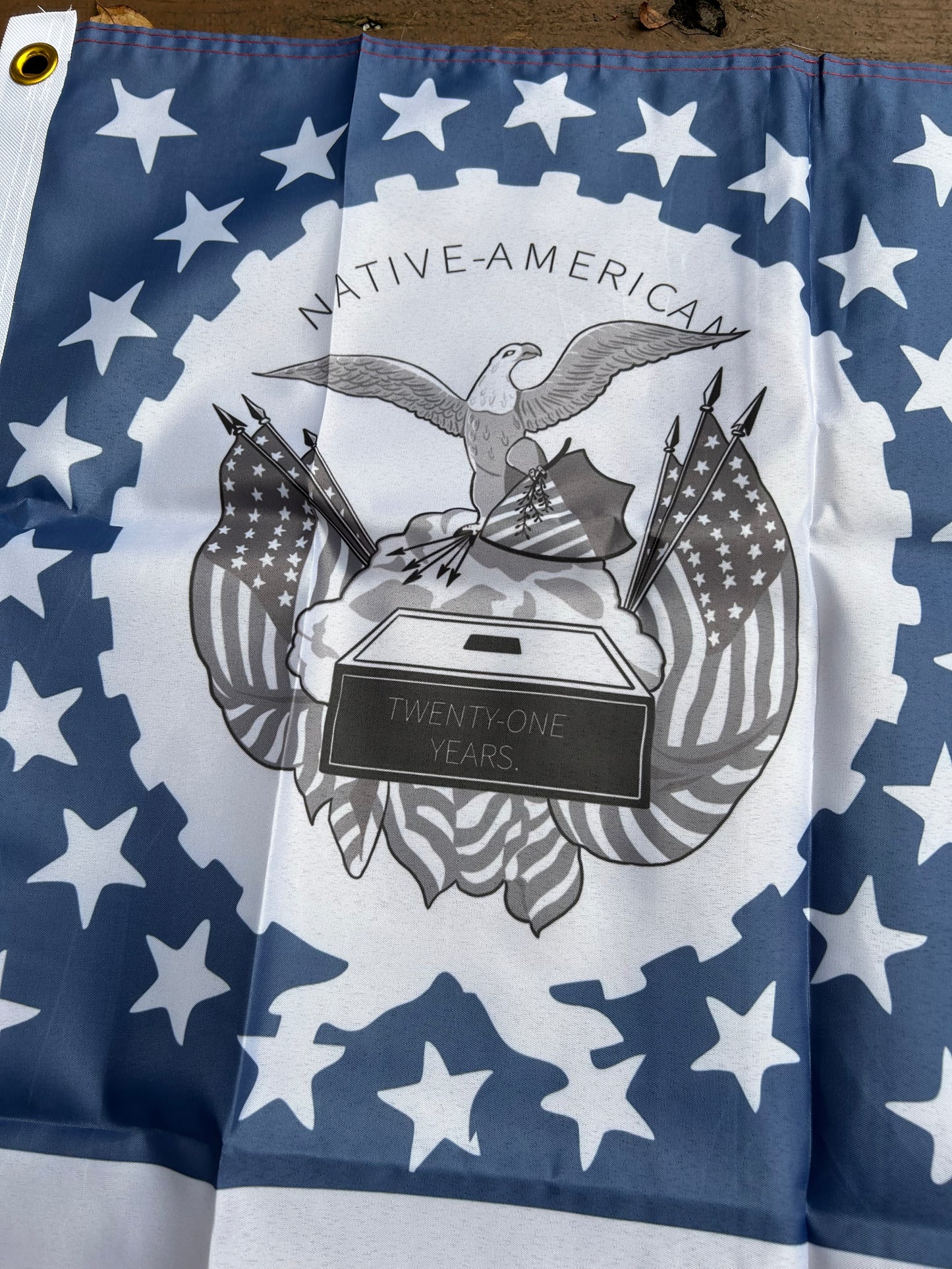 "Beware of Foreign Influence" - Know Nothing Party Flag