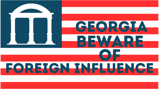 "Georgia Beware of Foreign Influence" Flag