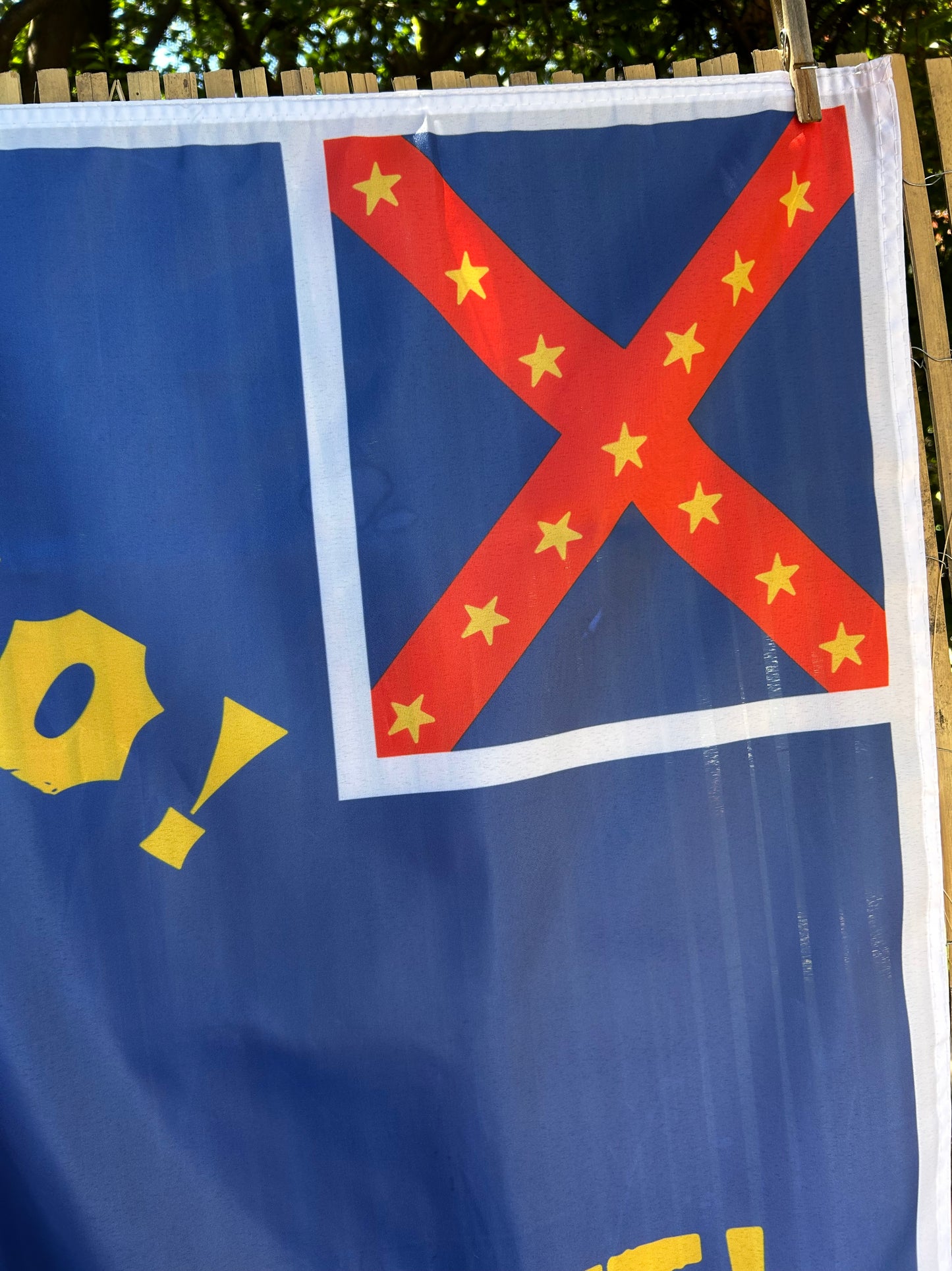 Greenville Ladies Aid Association Hospital Flag